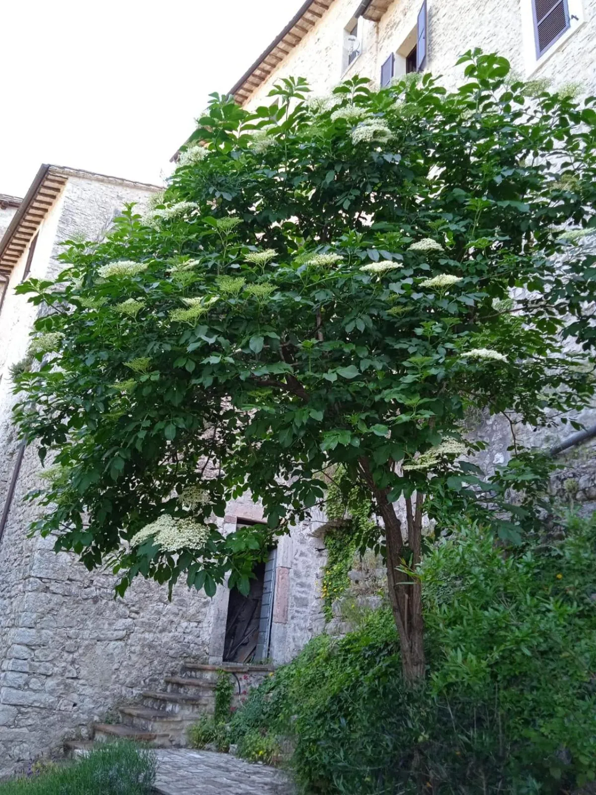 Day in Borgo San Valentino