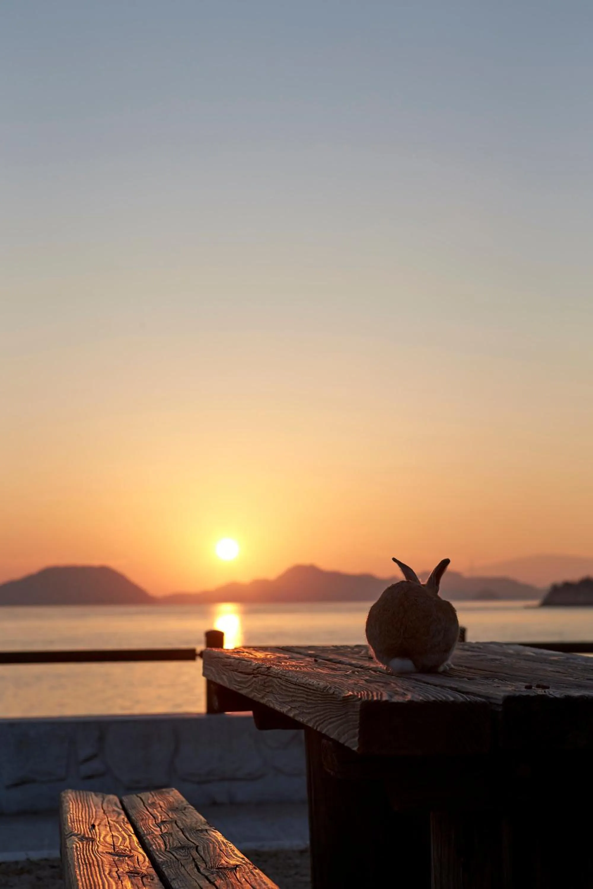 Kyukamura Ohkunoshima