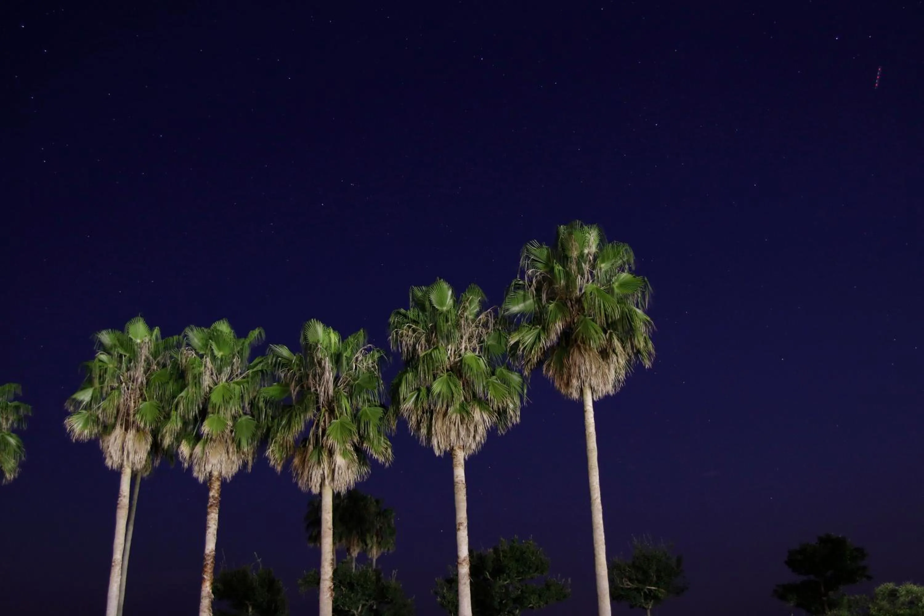 Kyukamura Ohkunoshima