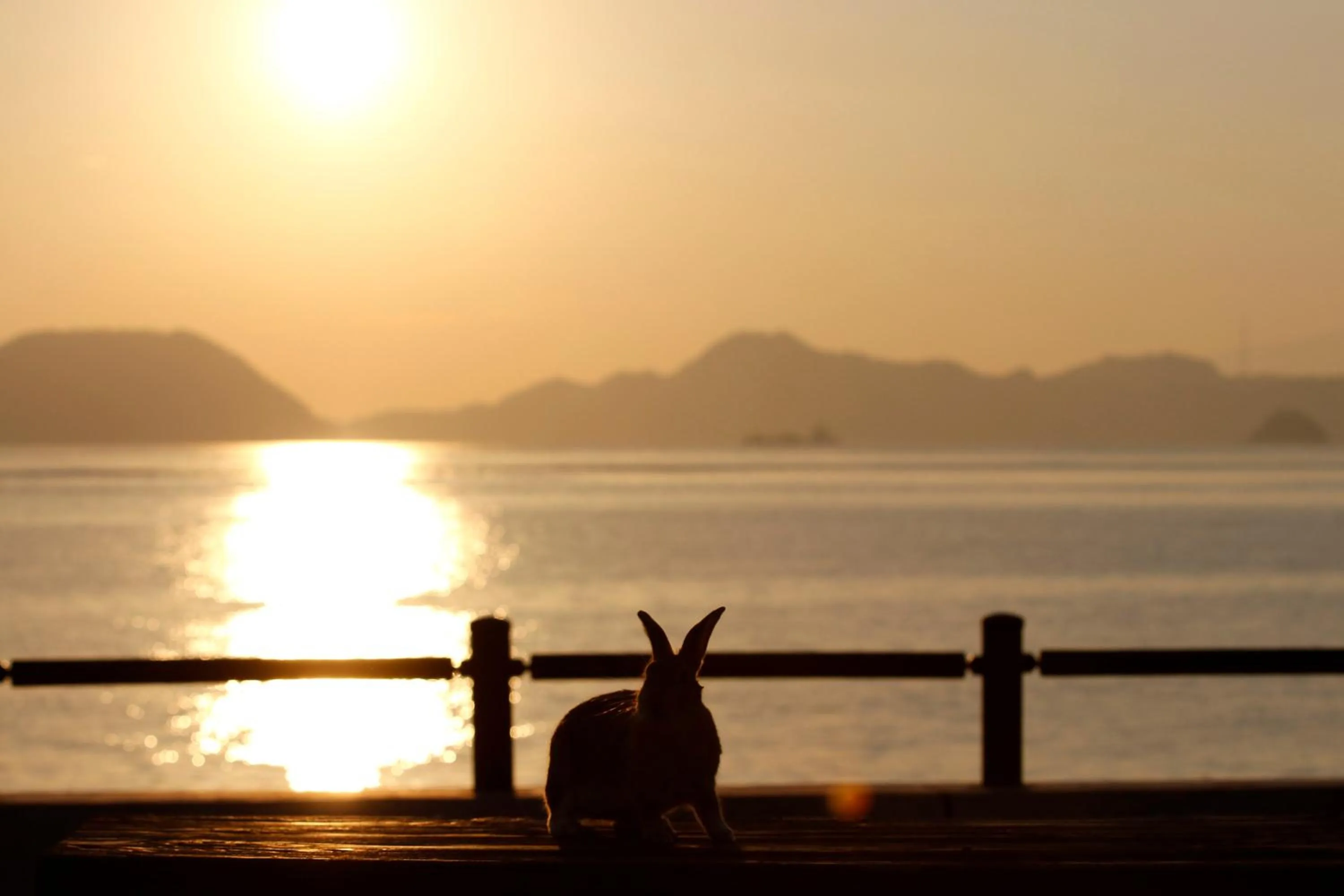 Kyukamura Ohkunoshima