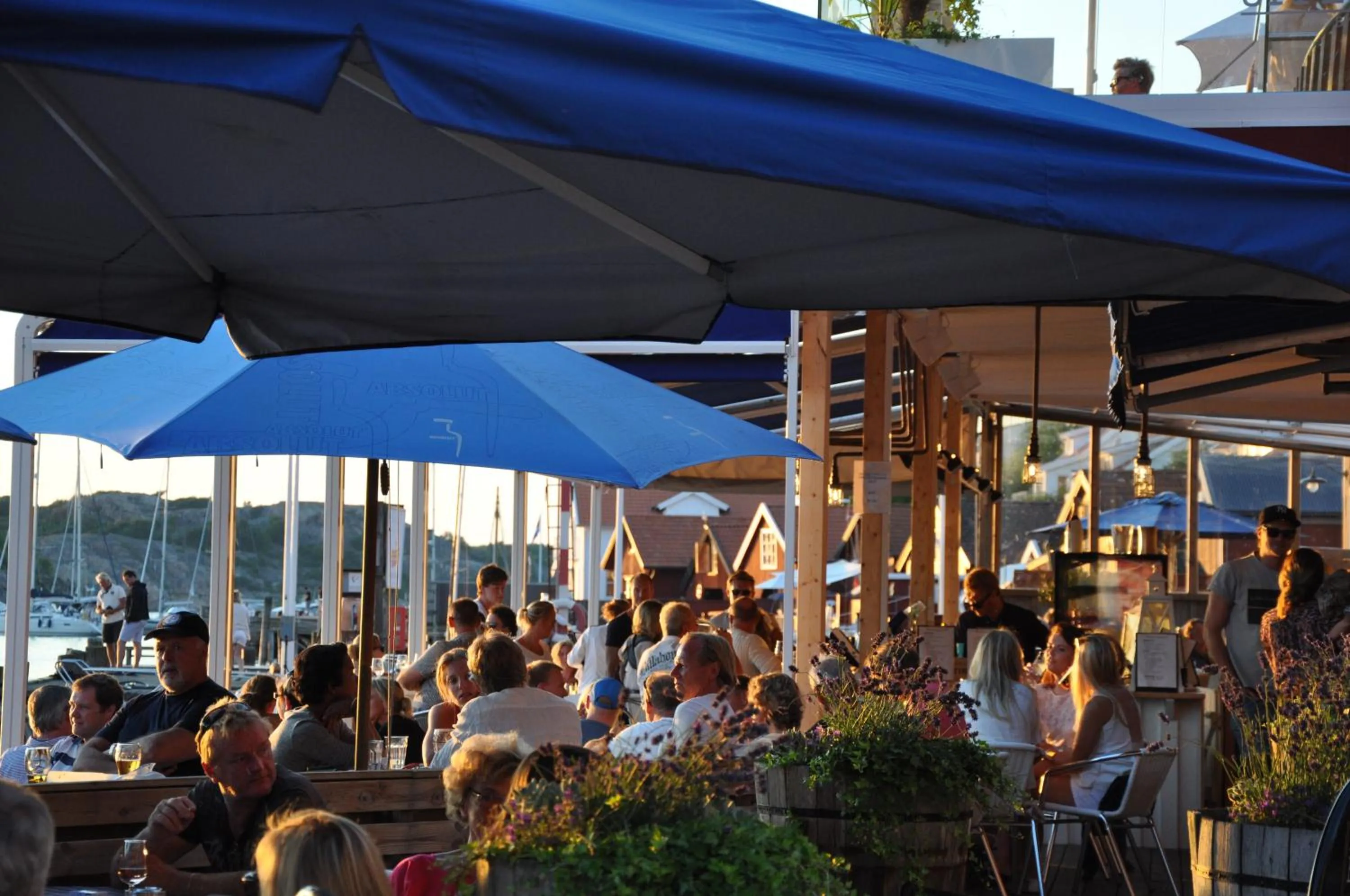 Summer in Bryggan Fjällbacka