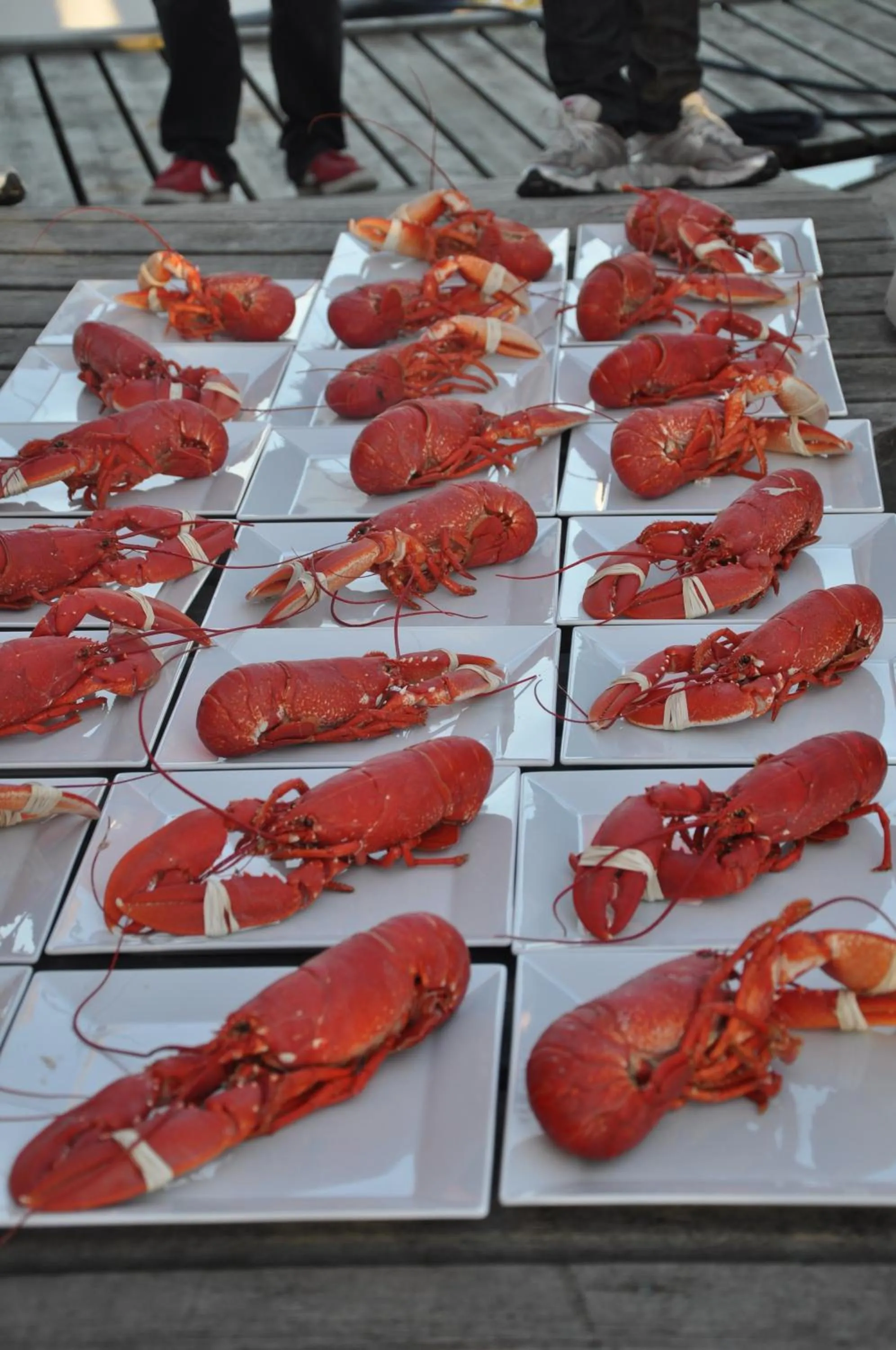 Food close-up in Bryggan Fjällbacka