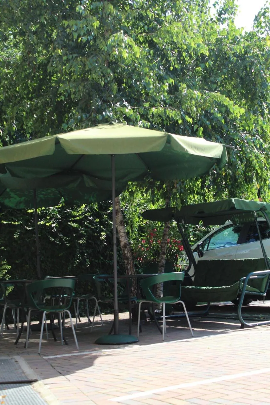 Garden in Baby Hotel