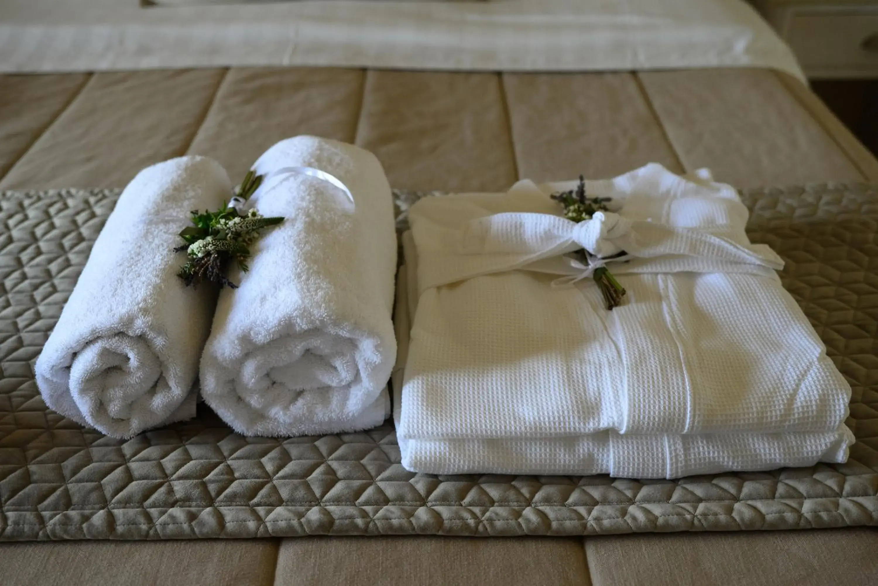 Art Hotel Debono Art Hotel Debono