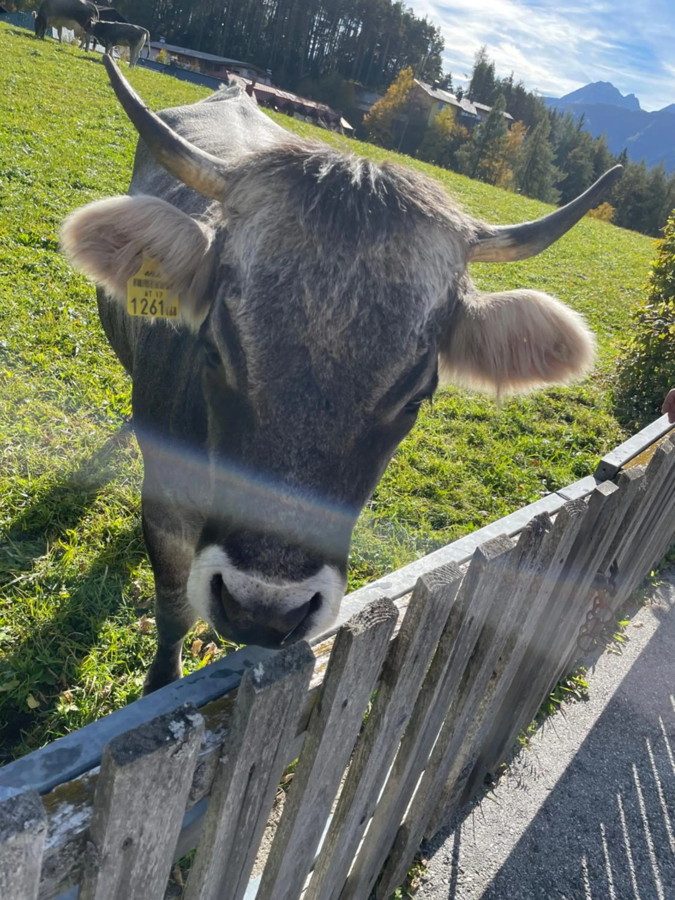 Property building in LakeSide Apartments Seefeld