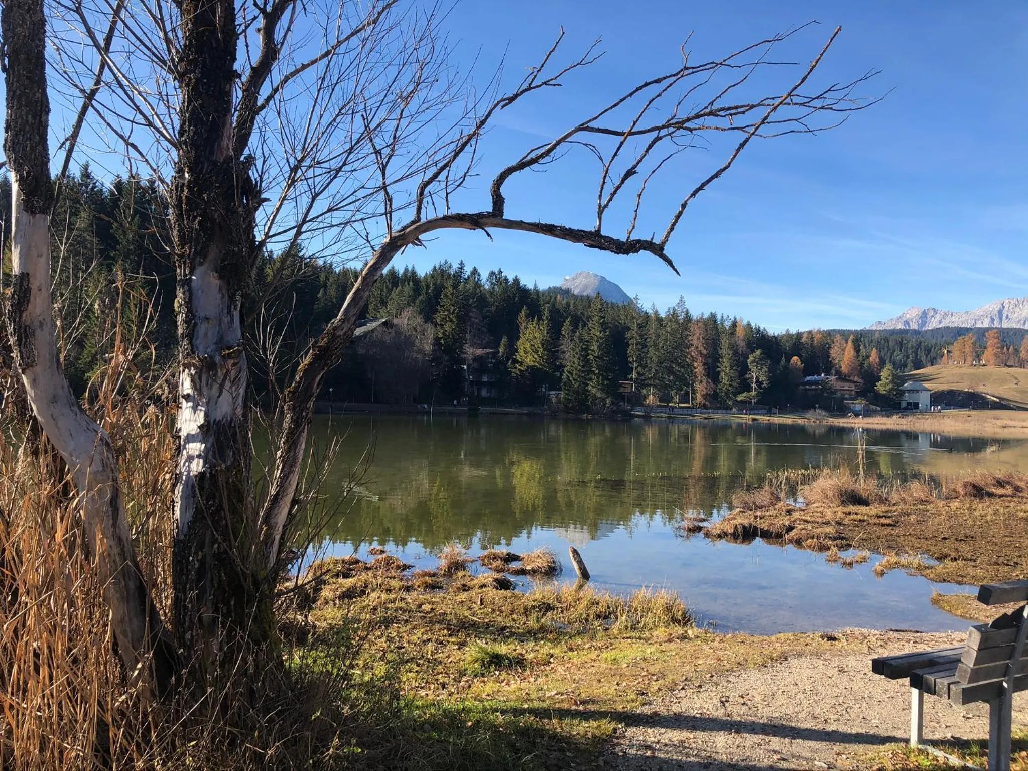 Spring in LakeSide Apartments Seefeld