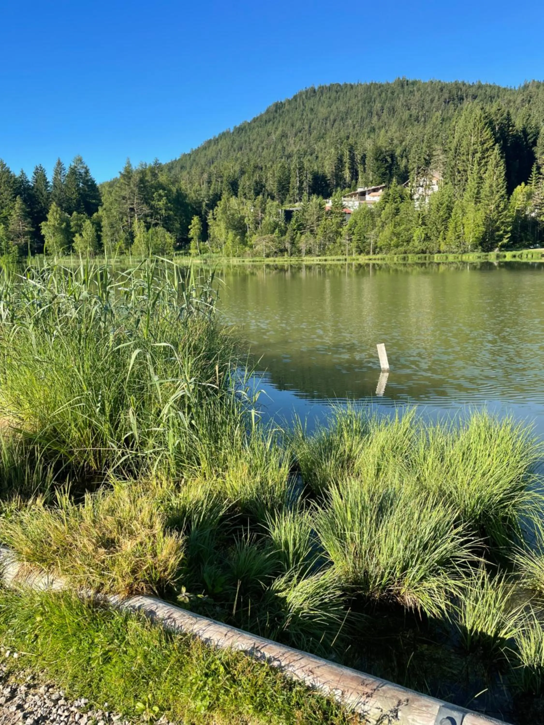 Natural landscape in LakeSide Apartments Seefeld