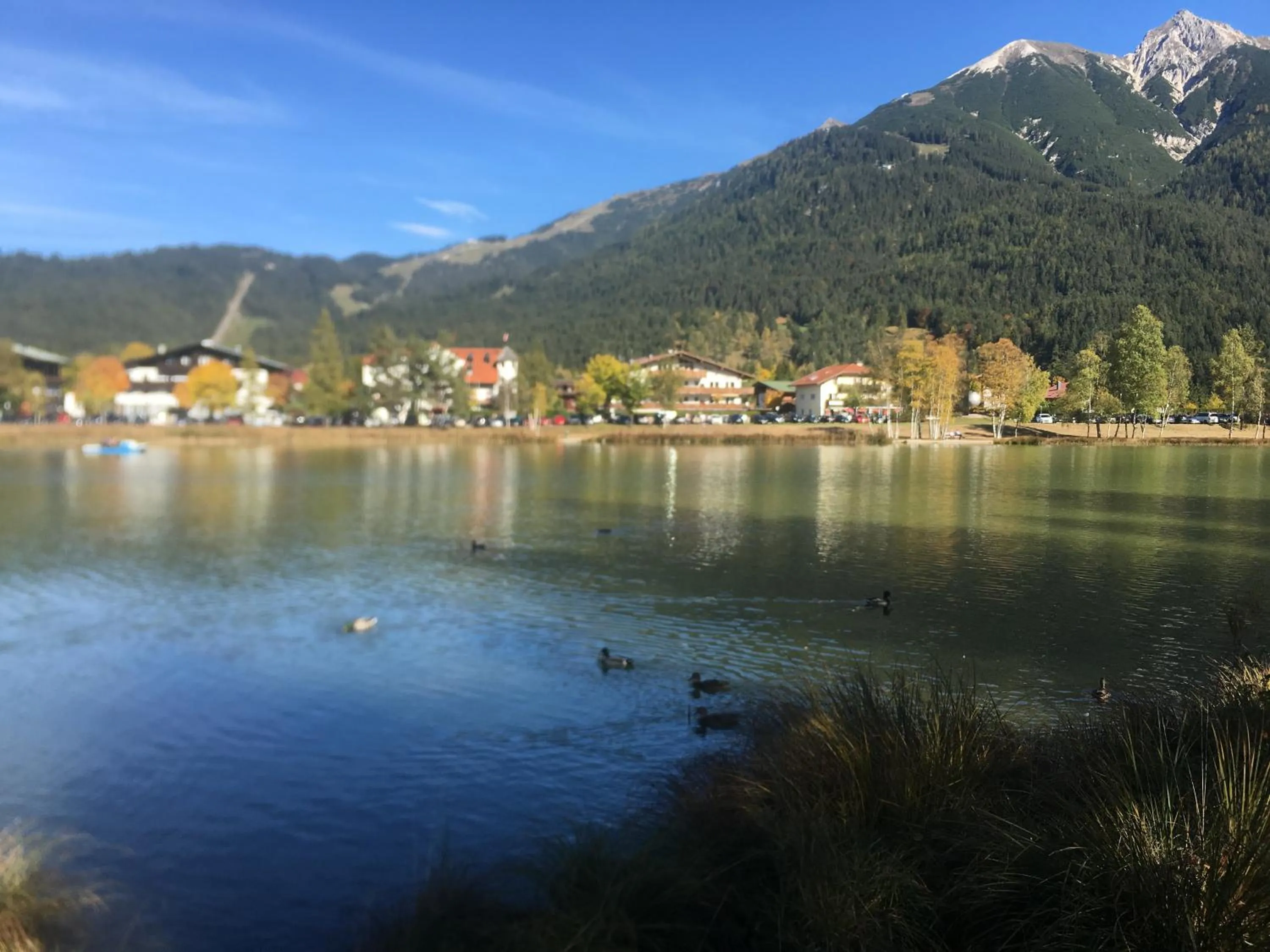 Natural landscape in LakeSide Apartments Seefeld