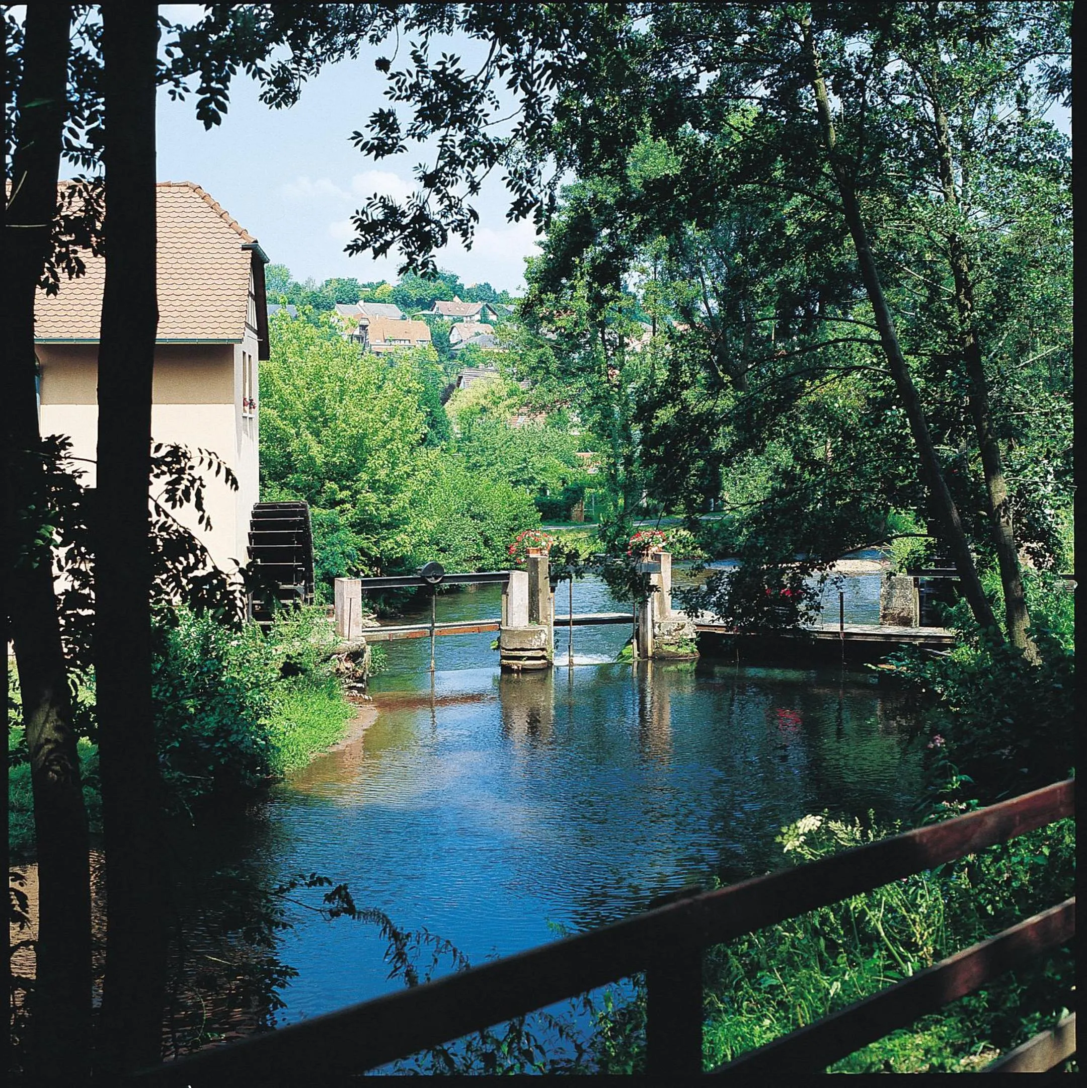 Garden in Le Moulin de la Walk