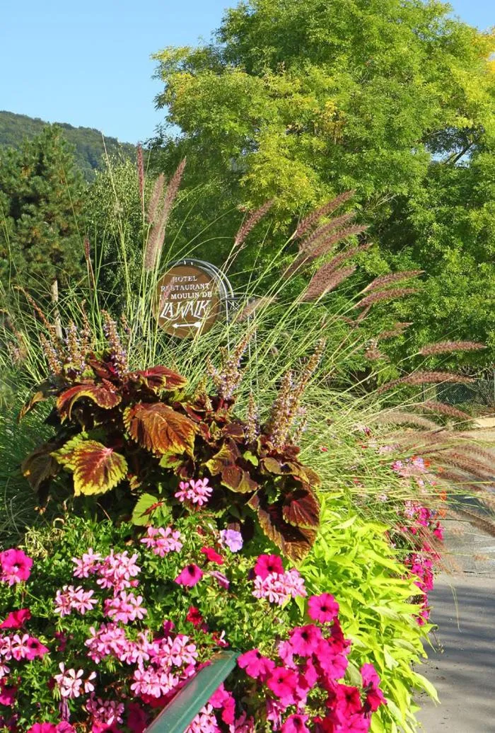 Garden in Le Moulin de la Walk