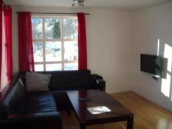 Two-Bedroom Apartment in Røldal Overnatting Two-Bedroom Apartment in Røldal Overnatting