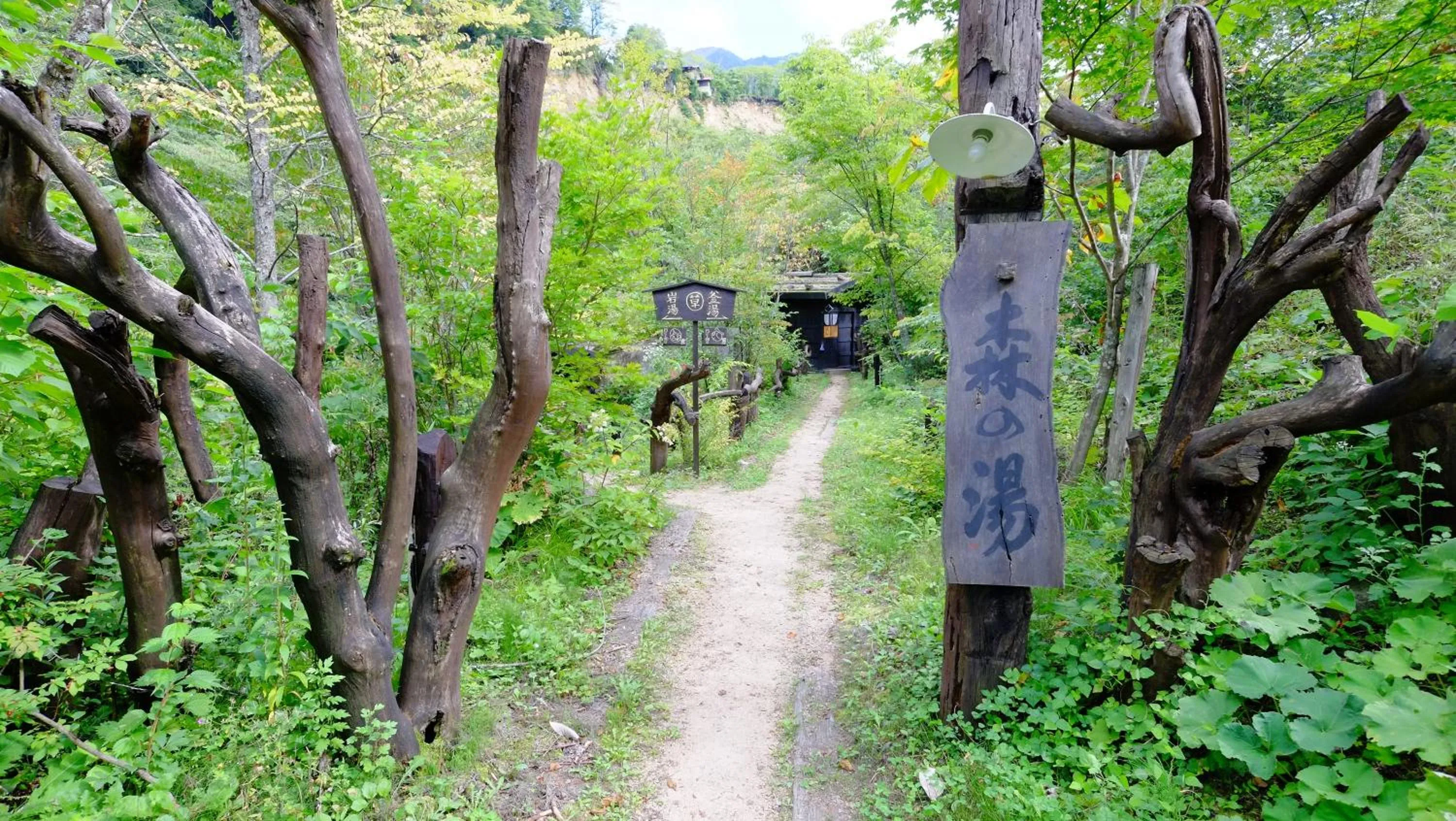 Decorative detail in Yamazatonoiori Soene