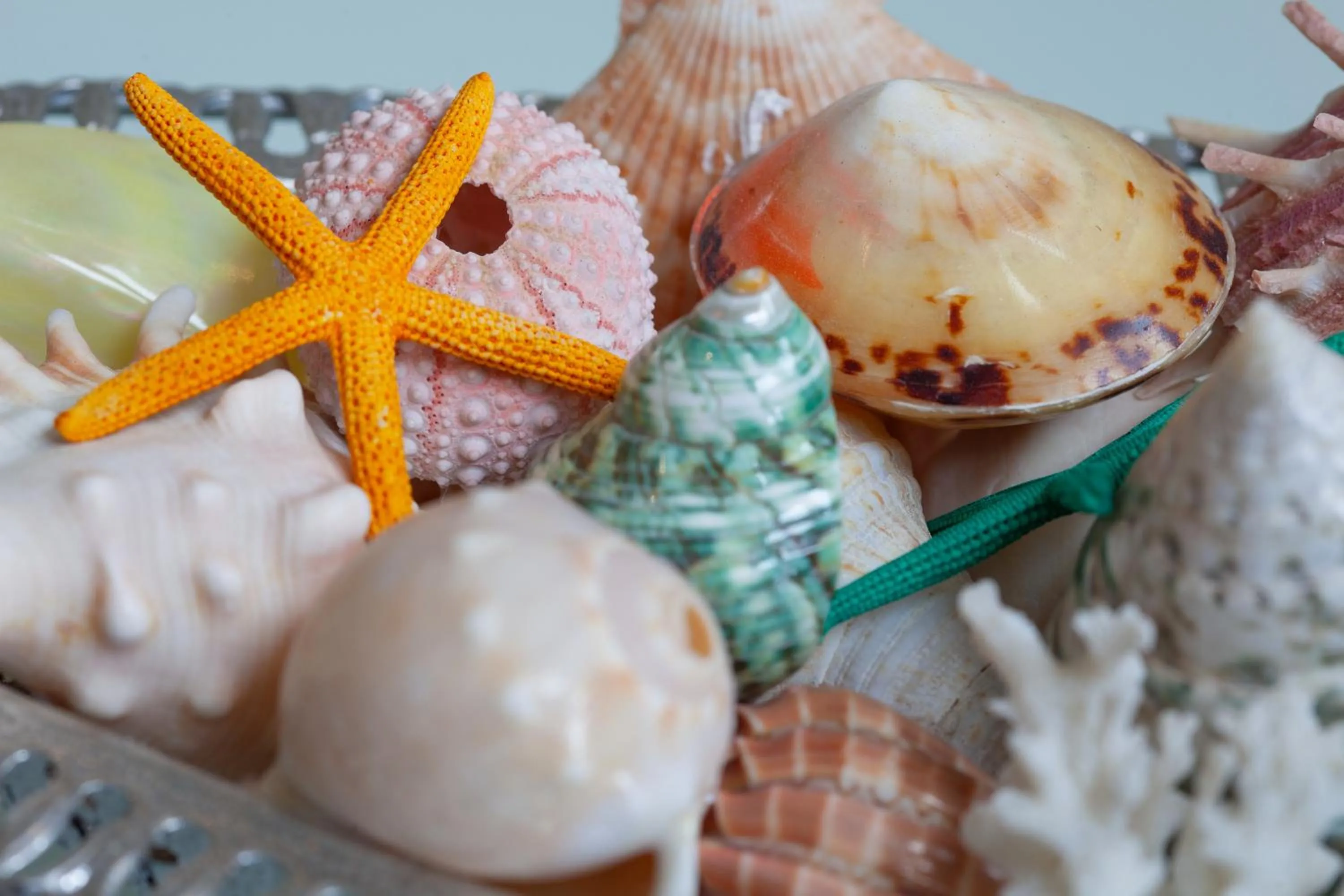 Facade/entrance in JoJo's BnB