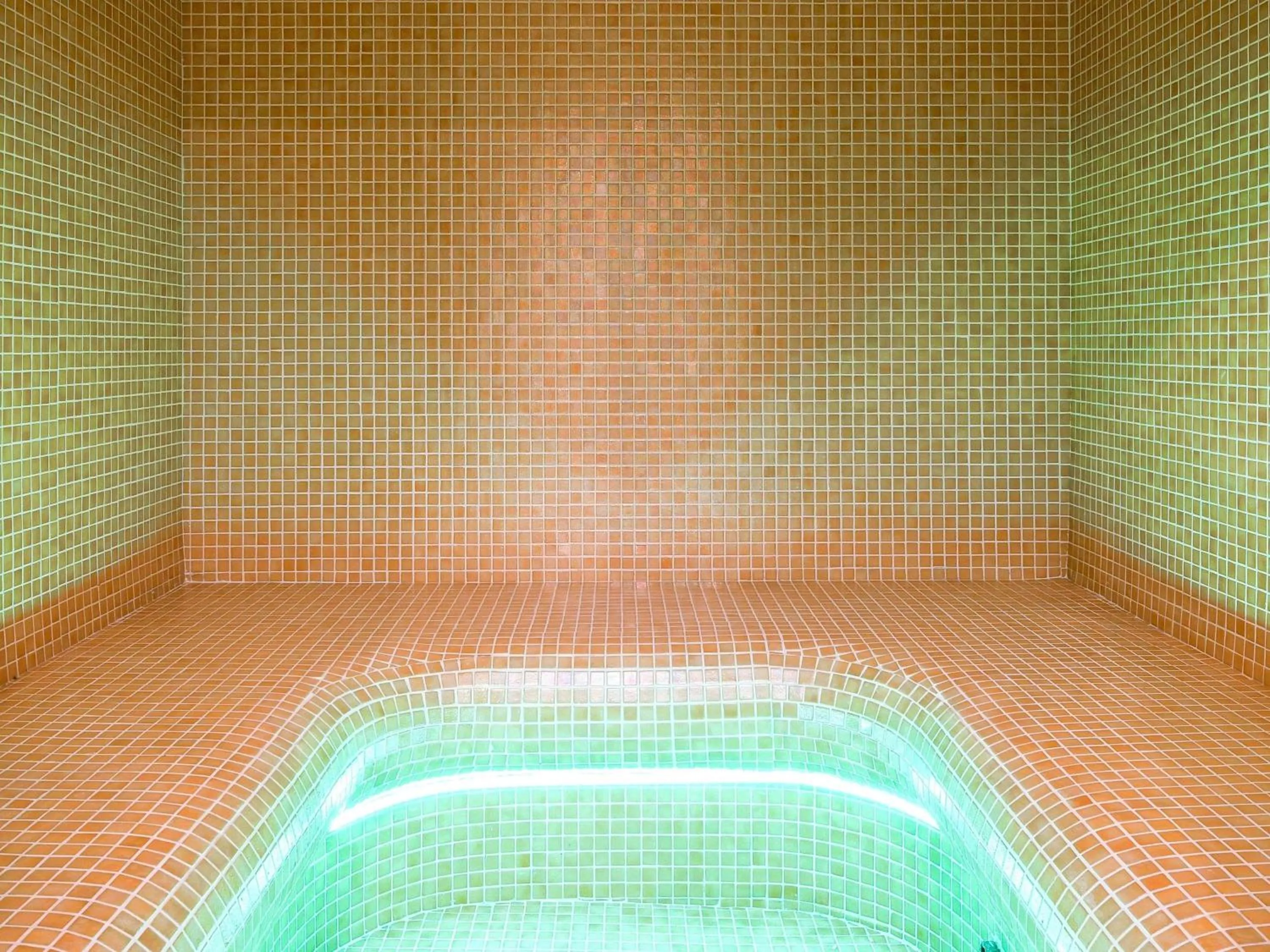 Fitness centre/facilities in Pullman Bucharest World Trade Center