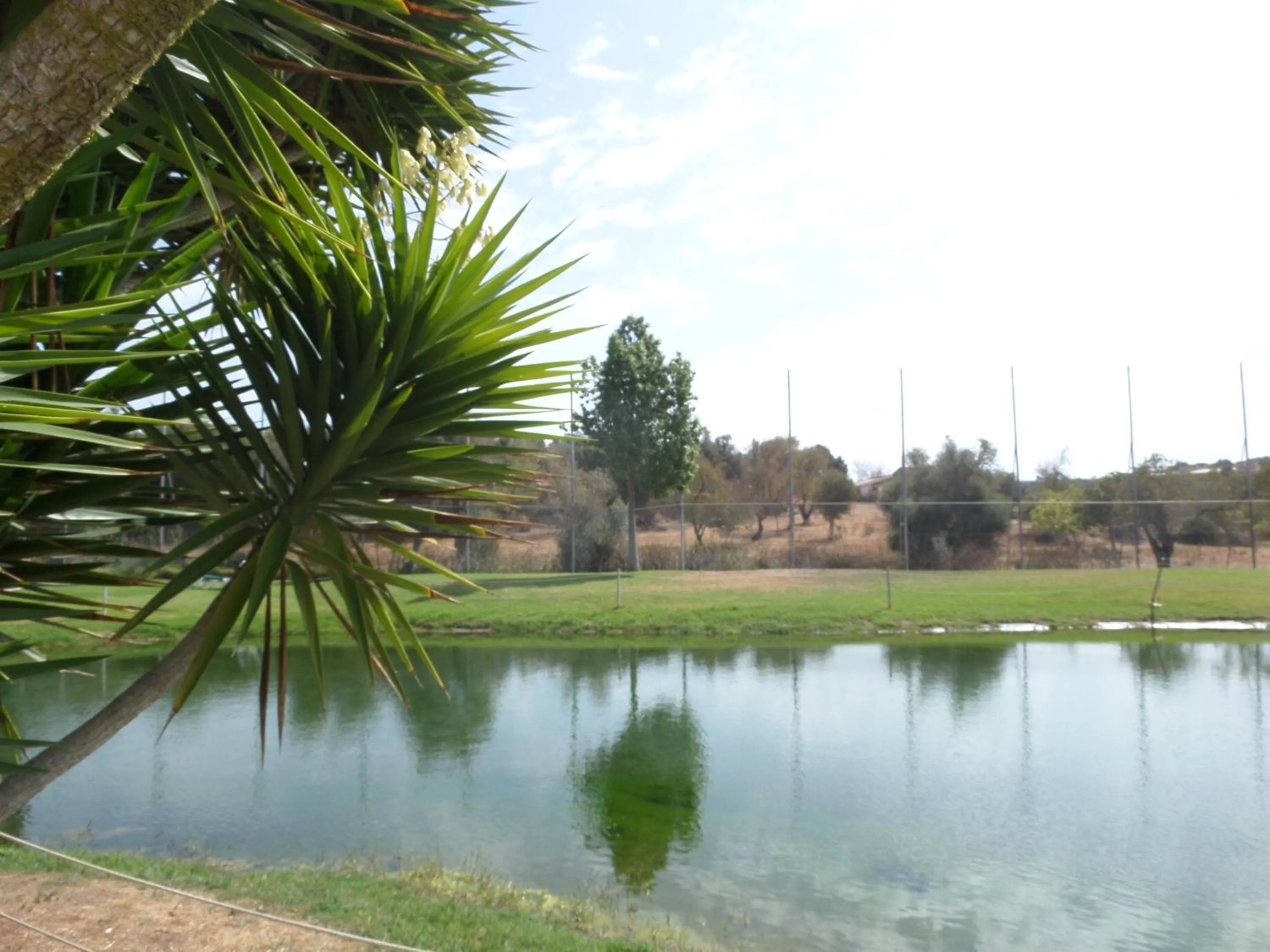 Garden in Yellow Alvor Garden - All Inclusive