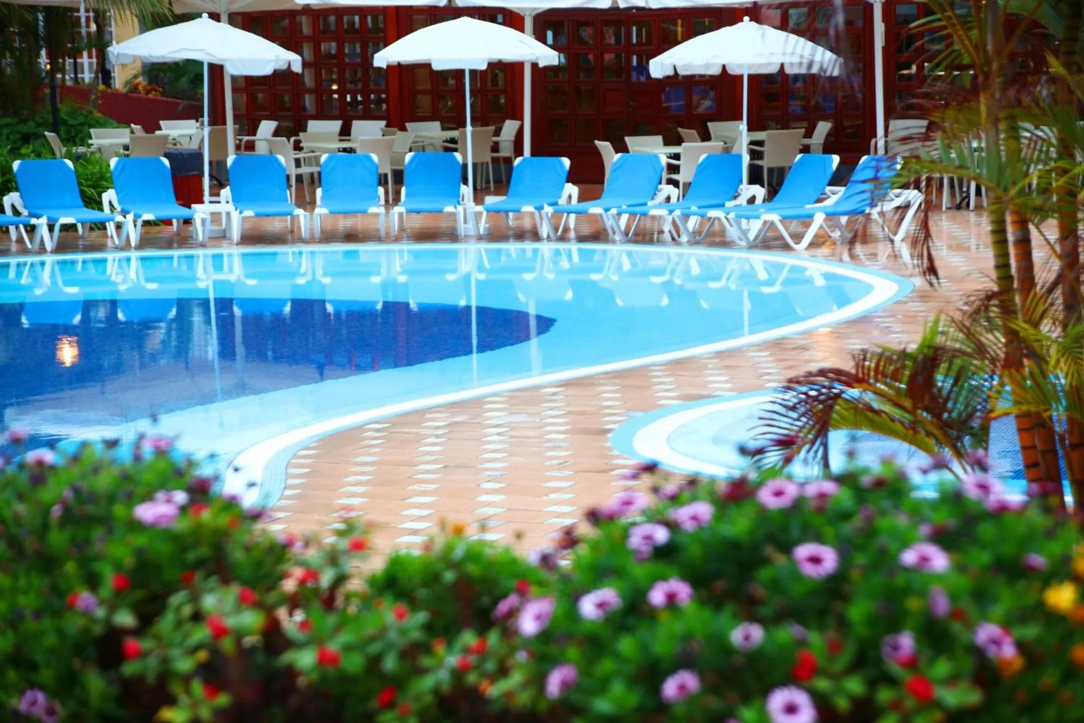 Spring in Bahia Principe Sunlight San Felipe