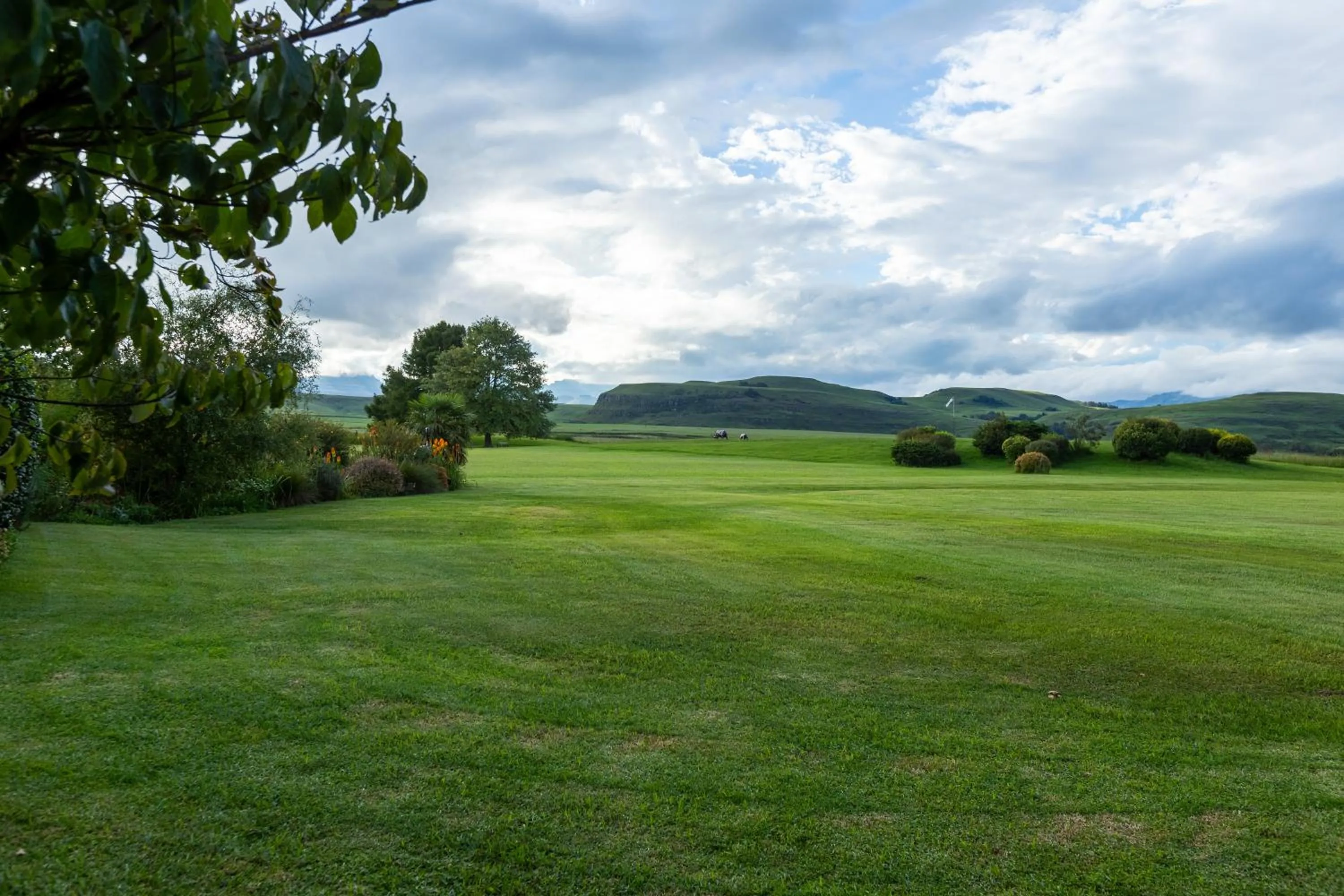 Natural landscape in Moorcroft Manor Boutique Country Hotel