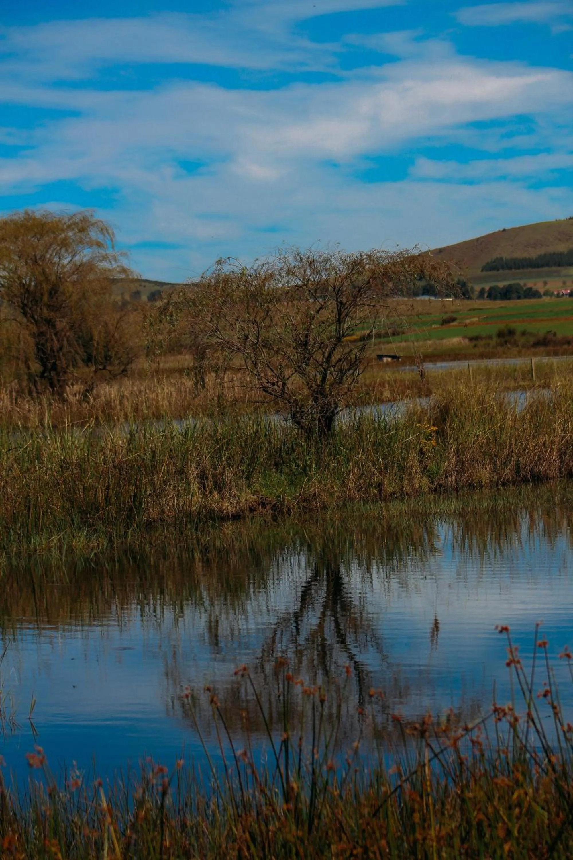 Natural landscape in Moorcroft Manor Boutique Country Hotel