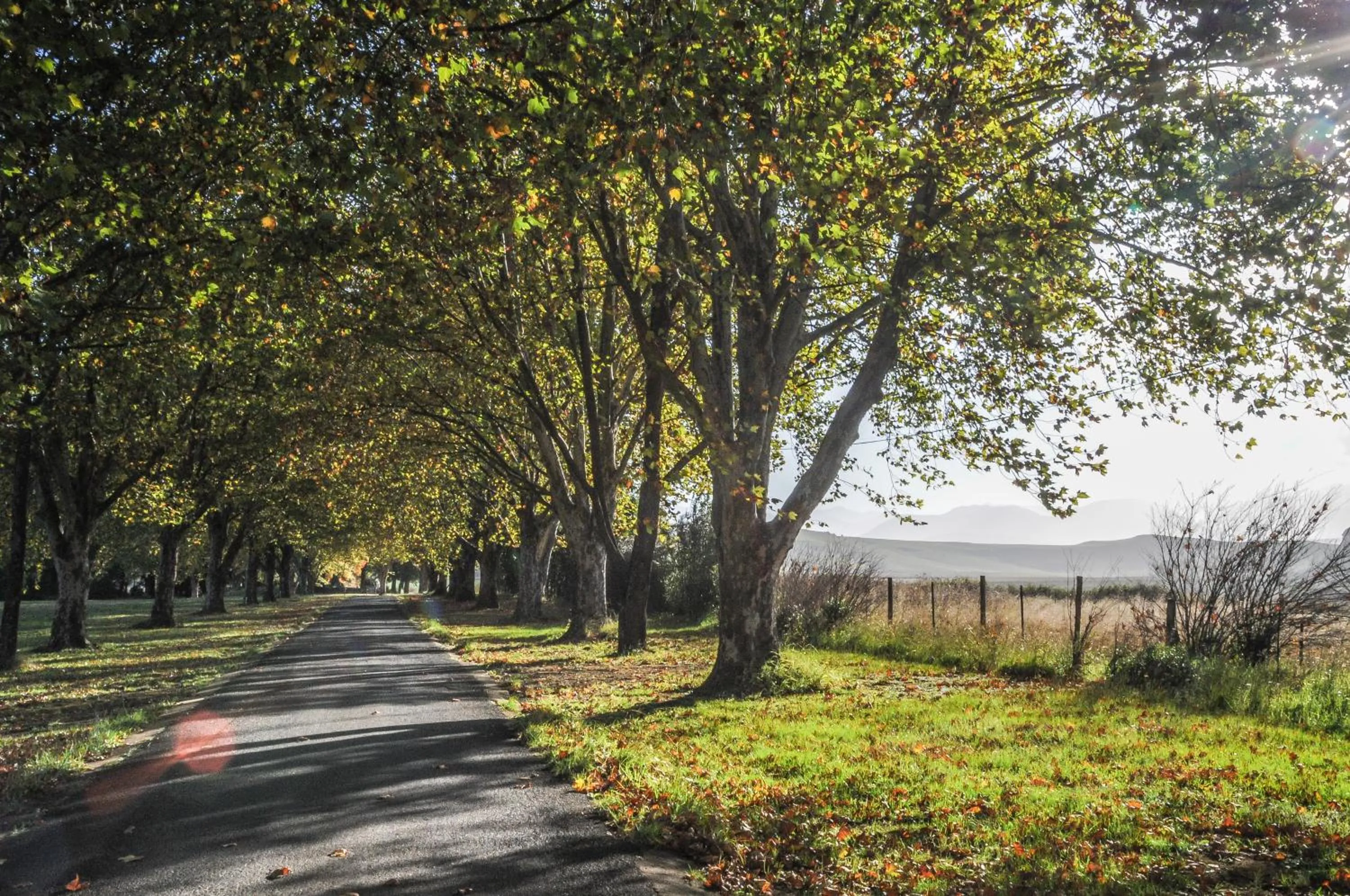 Facade/entrance in Moorcroft Manor Boutique Country Hotel