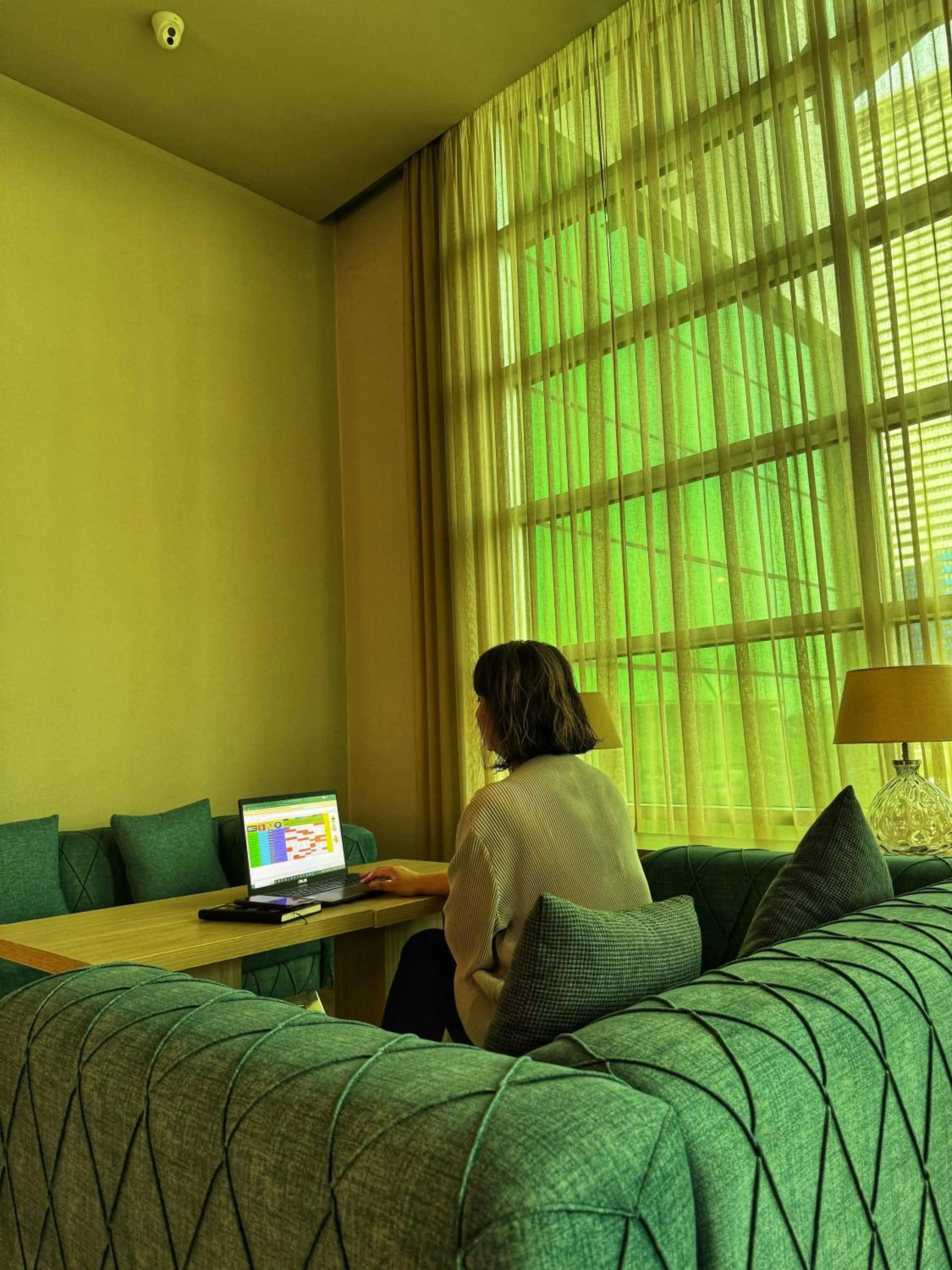 Business facilities in Best Western Premier Batumi