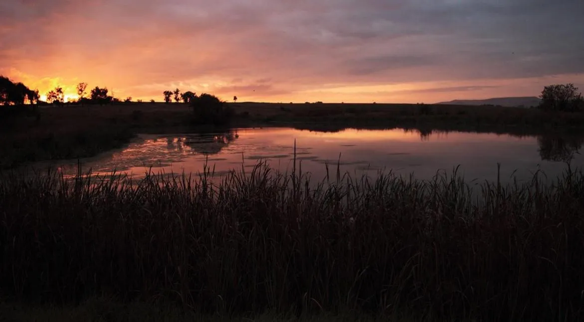 Property building in Sandford Park Country Hotel