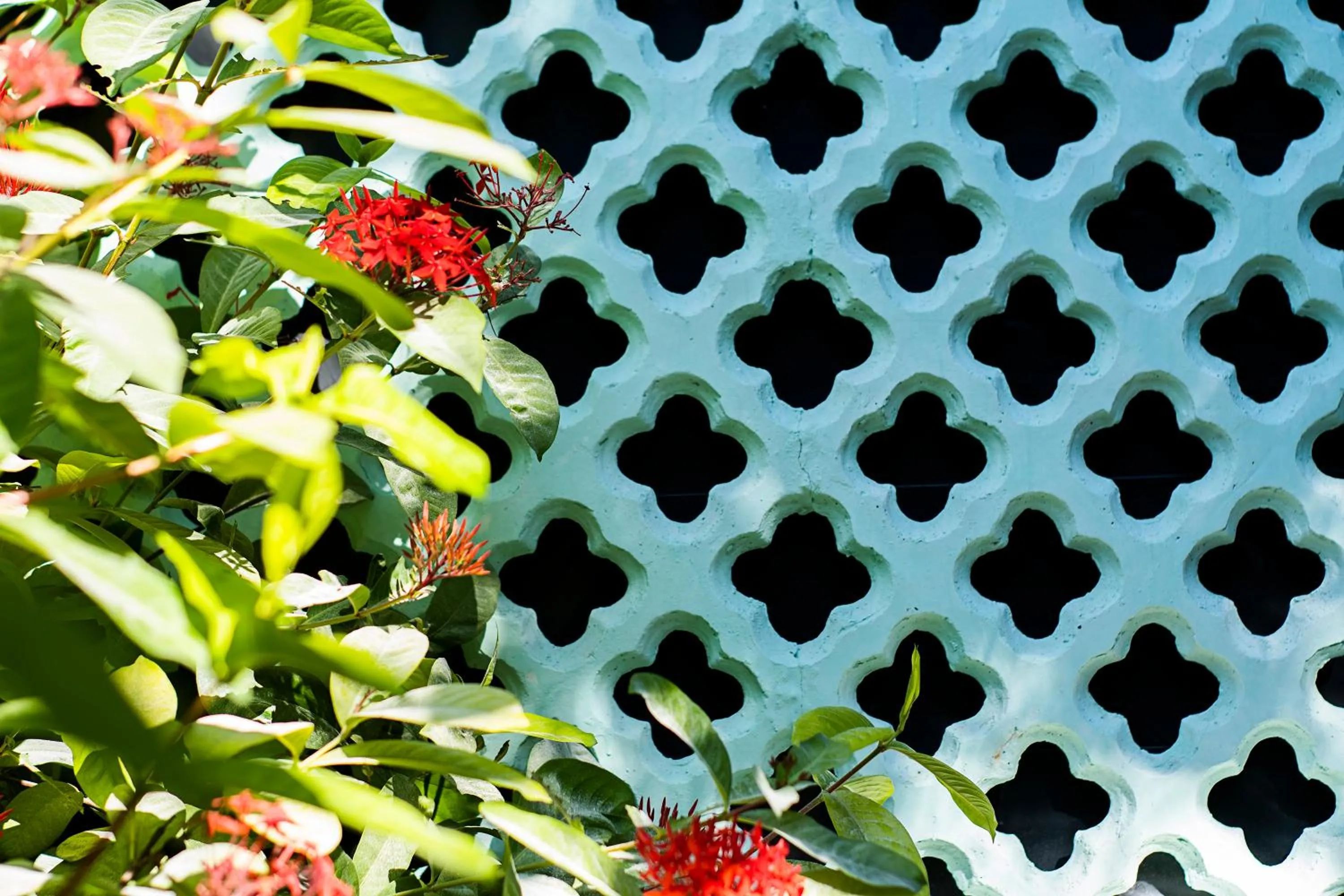 Day in Isla Tijereto