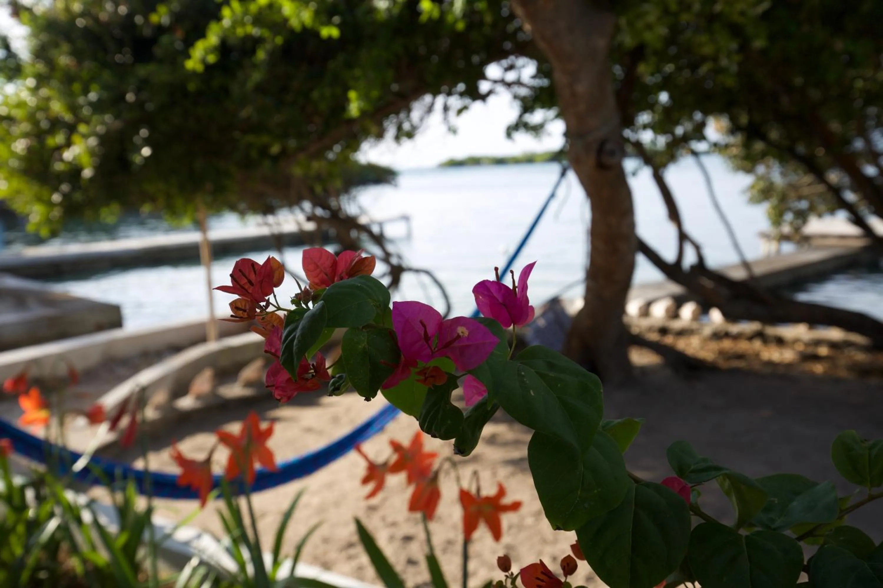 Decorative detail in Isla Tijereto