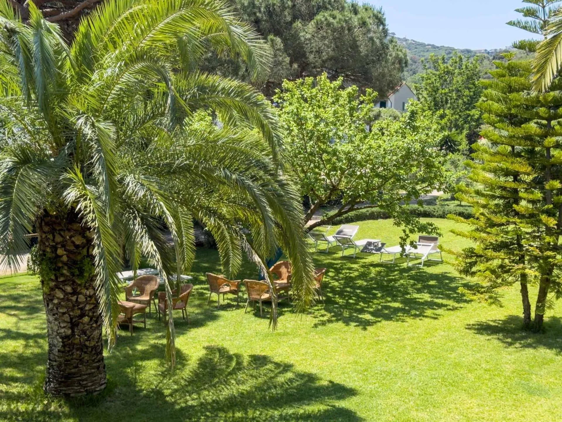 Garden in Hotel Villa Rodriguez