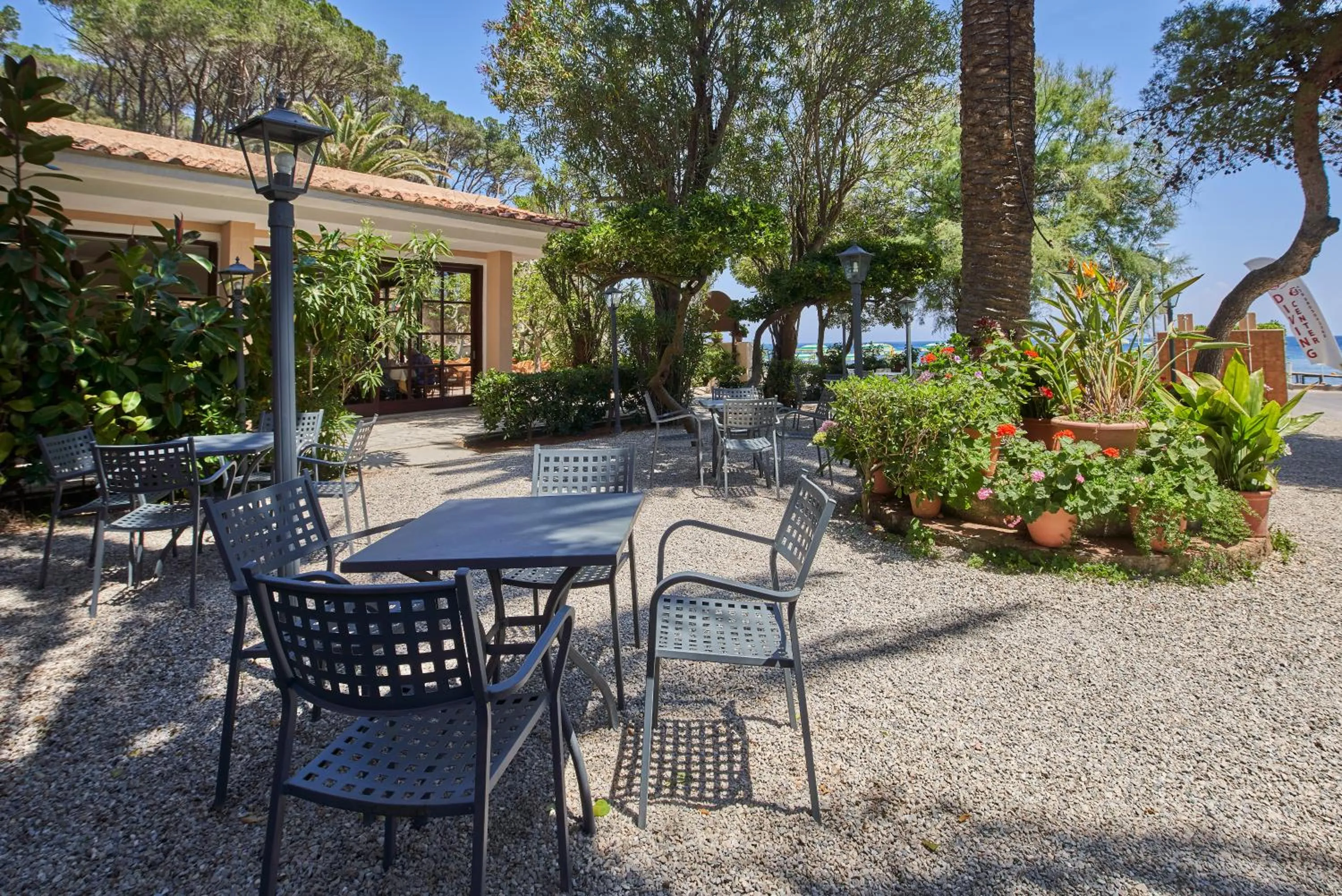 Garden in Hotel Villa Rodriguez