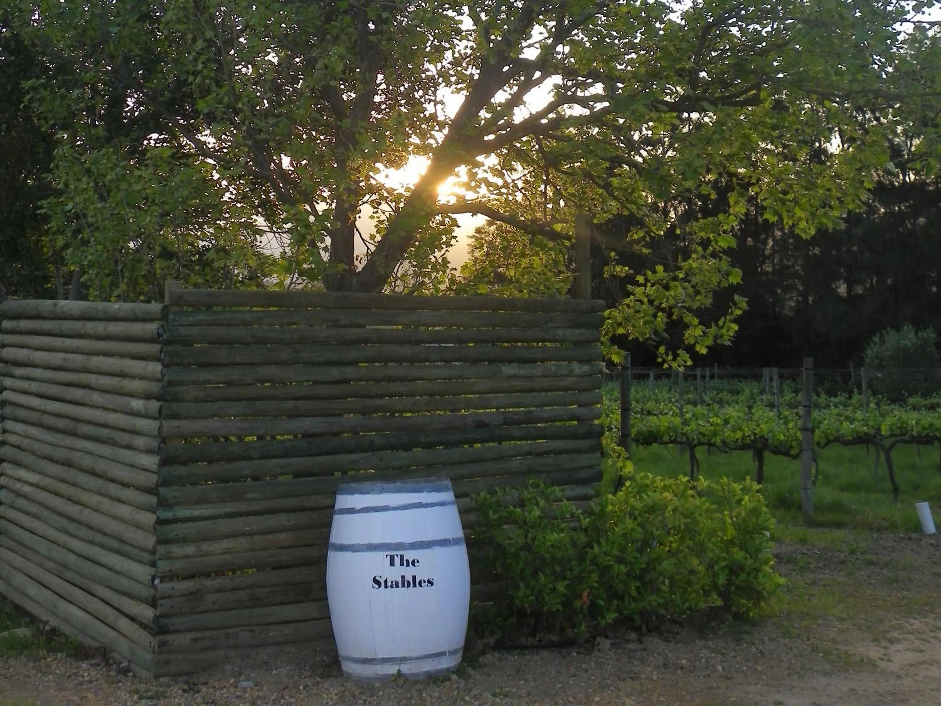 Garden view in Franschhoek Rose Cottages