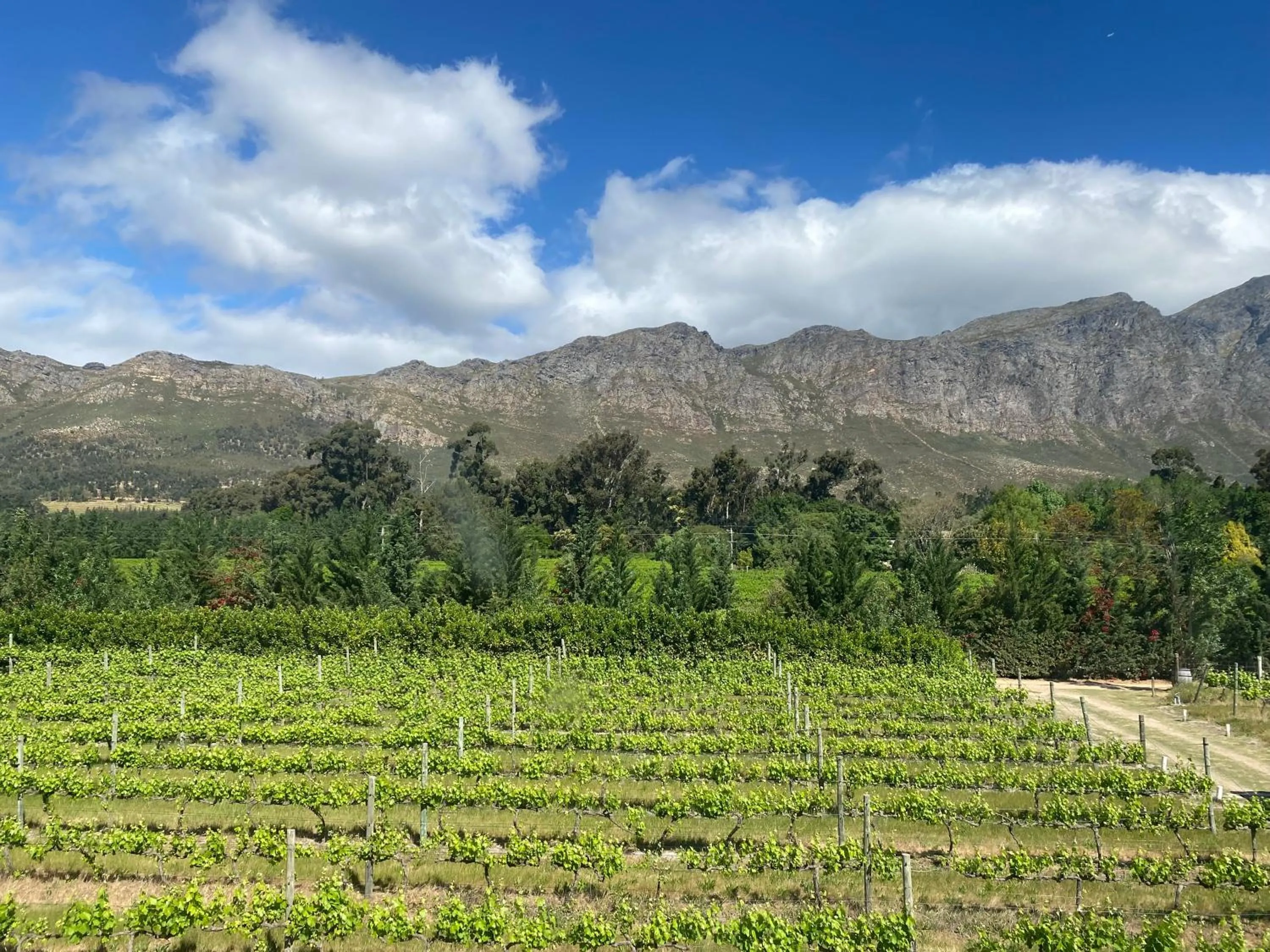 Natural landscape in Franschhoek Rose Cottages