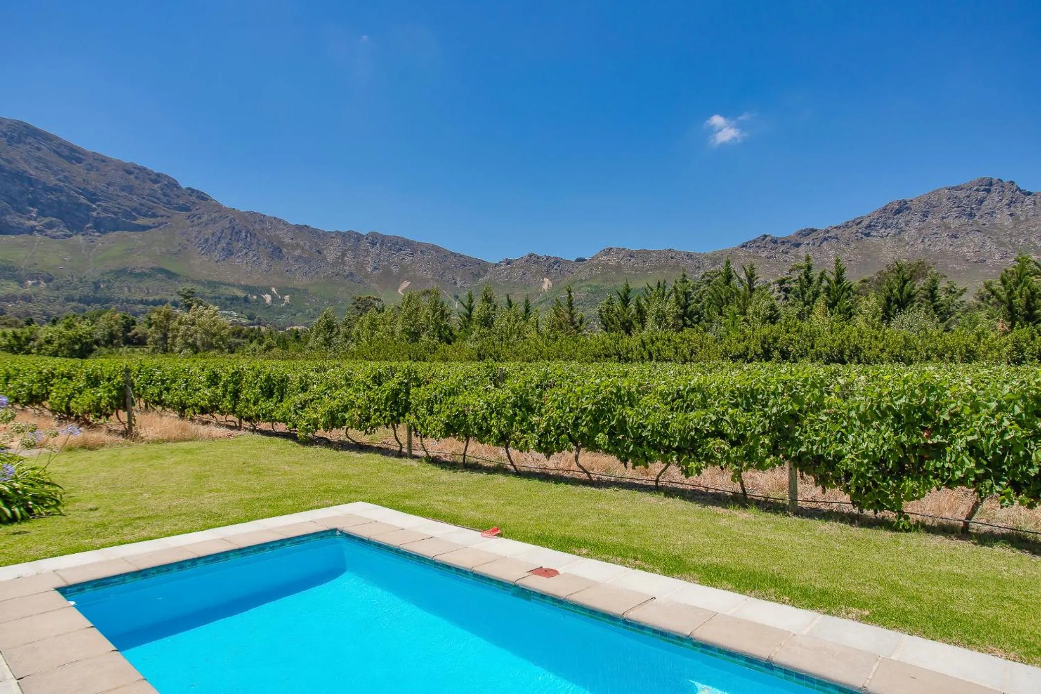 Swimming pool in Franschhoek Rose Cottages