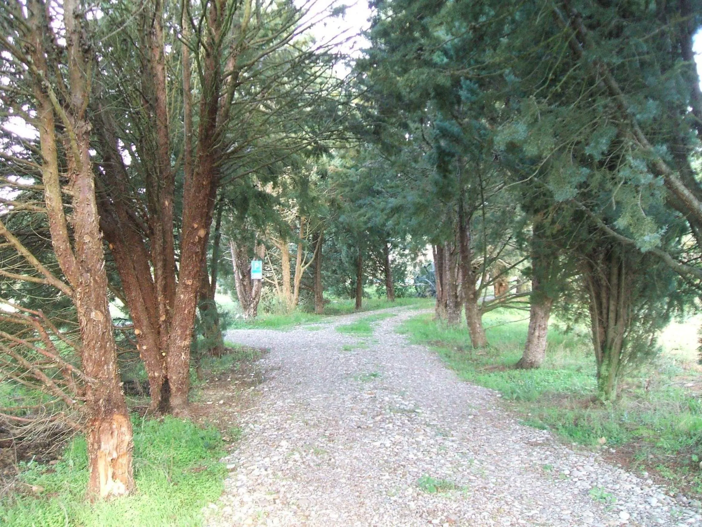Garden in Casetta Francini
