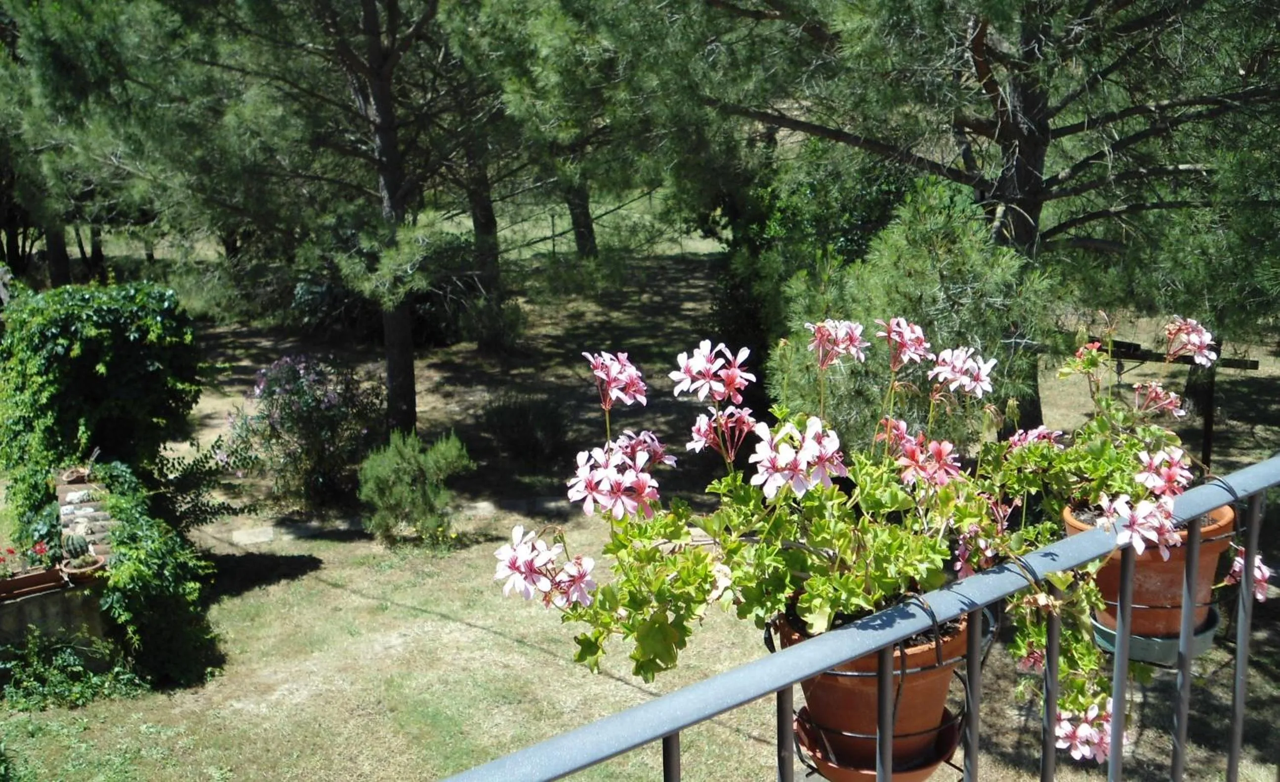 Garden view in Casetta Francini