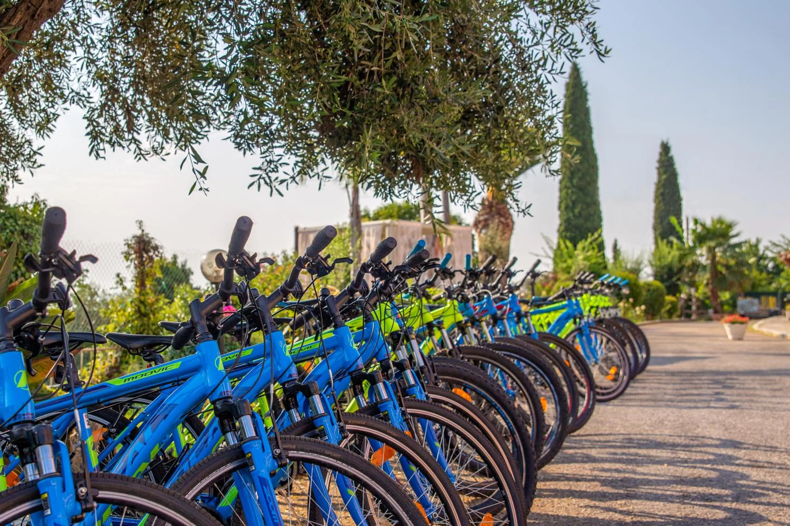 Activities in Victoria Hill Hotel