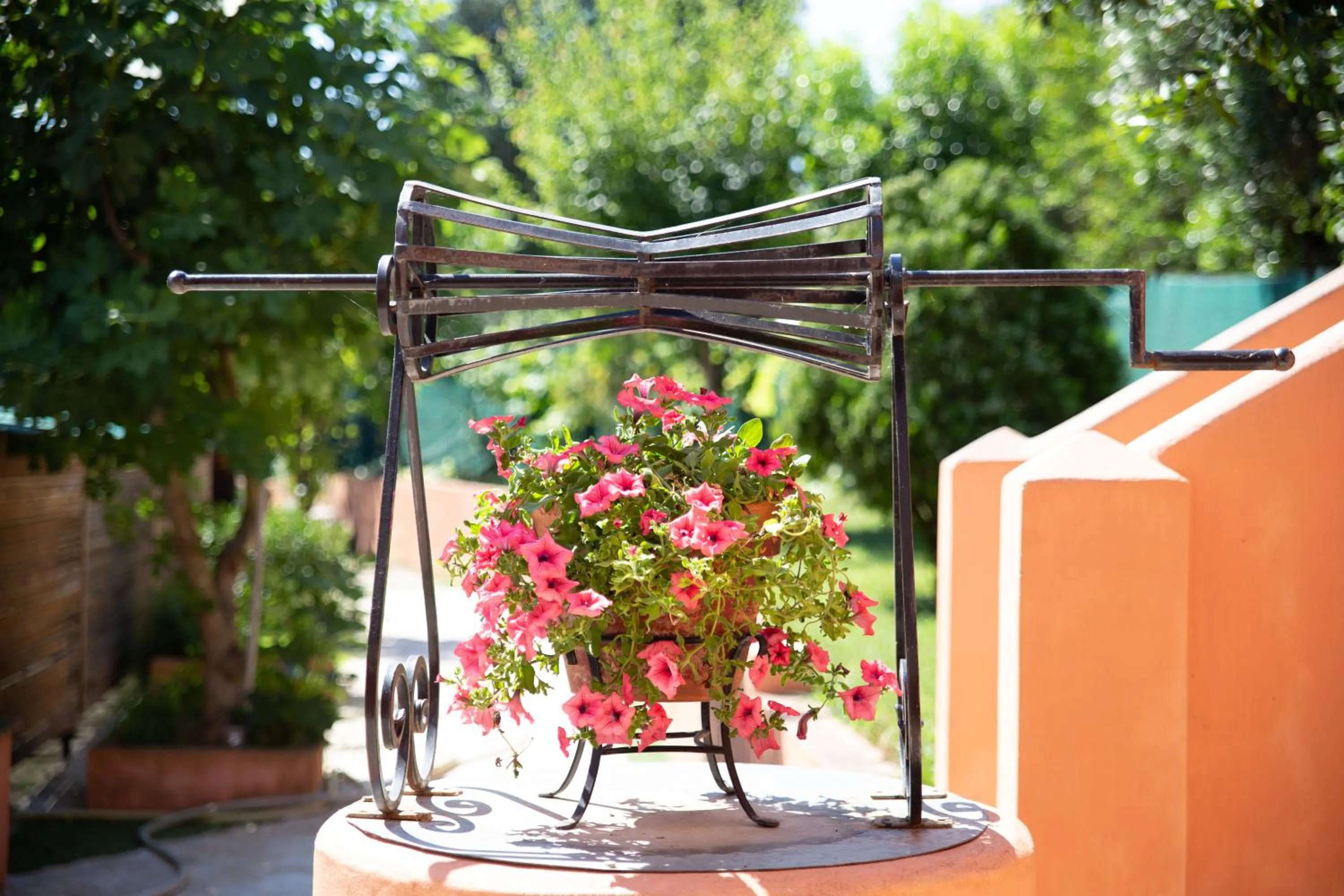 Garden in Victoria Hill Hotel