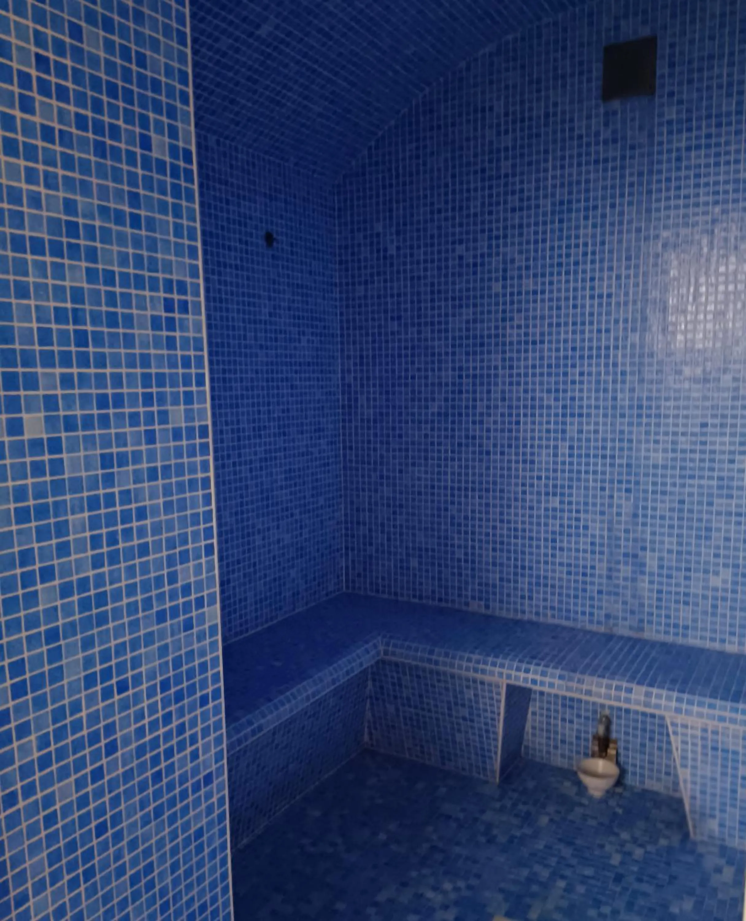 Steam room in Hotel Costa de Prata 2 & Spa