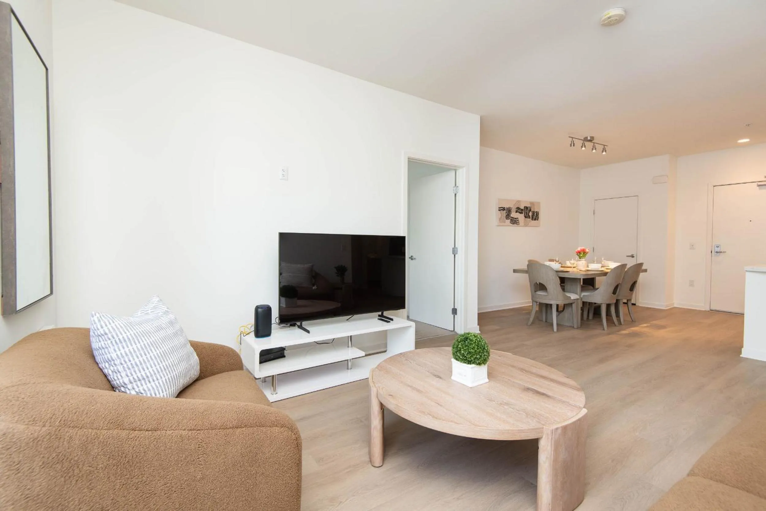 Modern Apartment Rentals