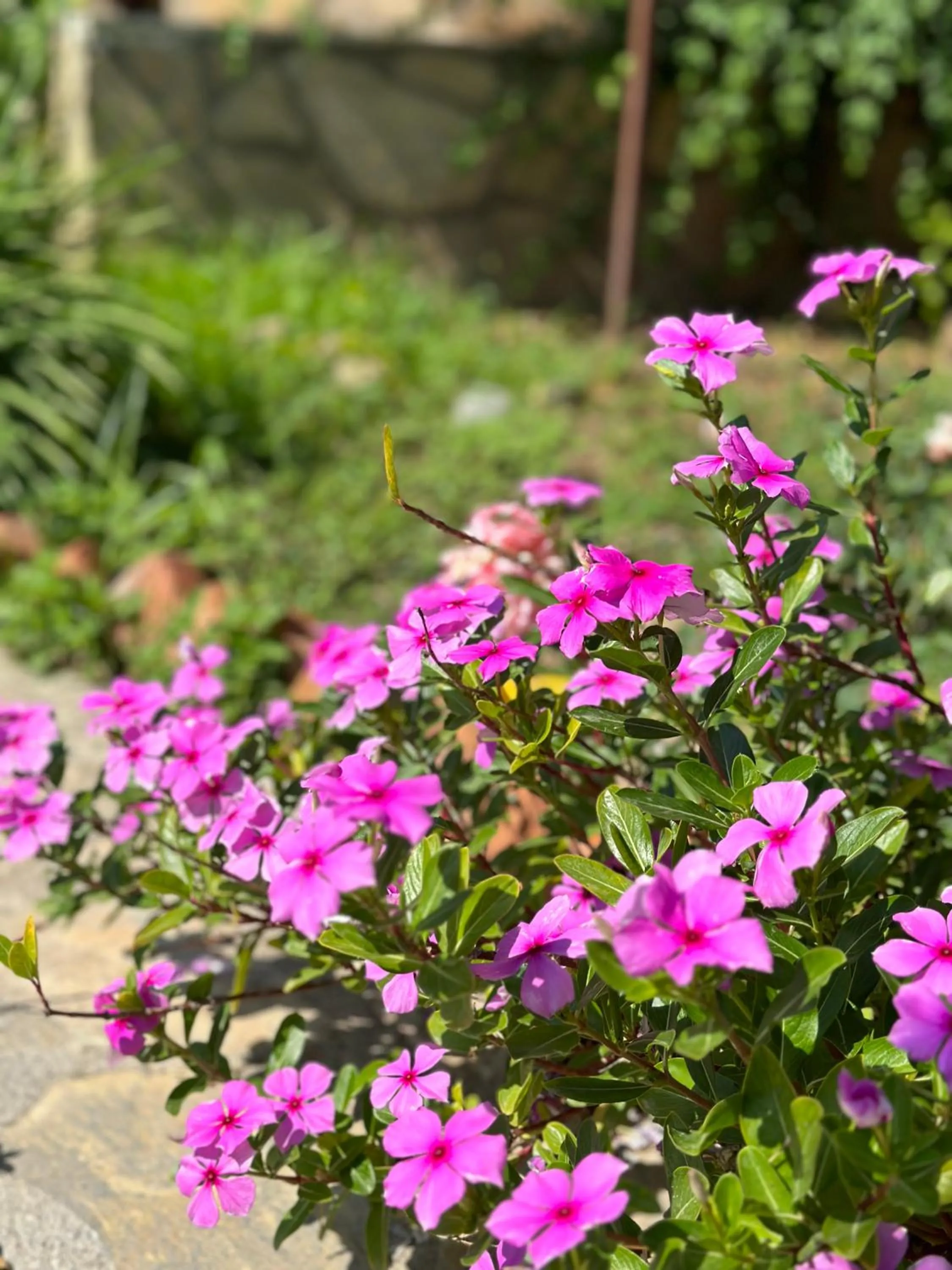 Off site in Bahaus Resort