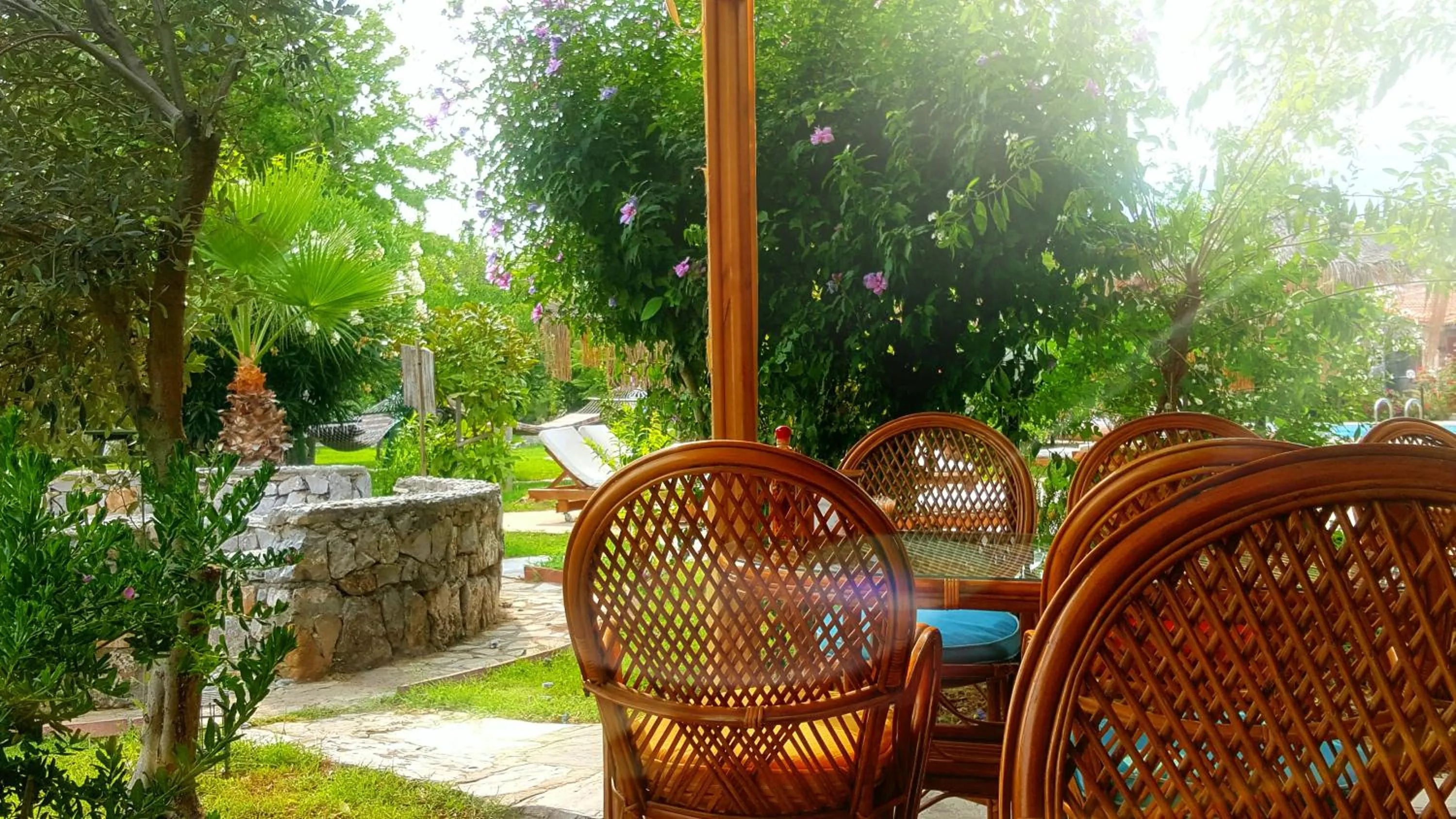 Restaurant/places to eat in Bahaus Resort