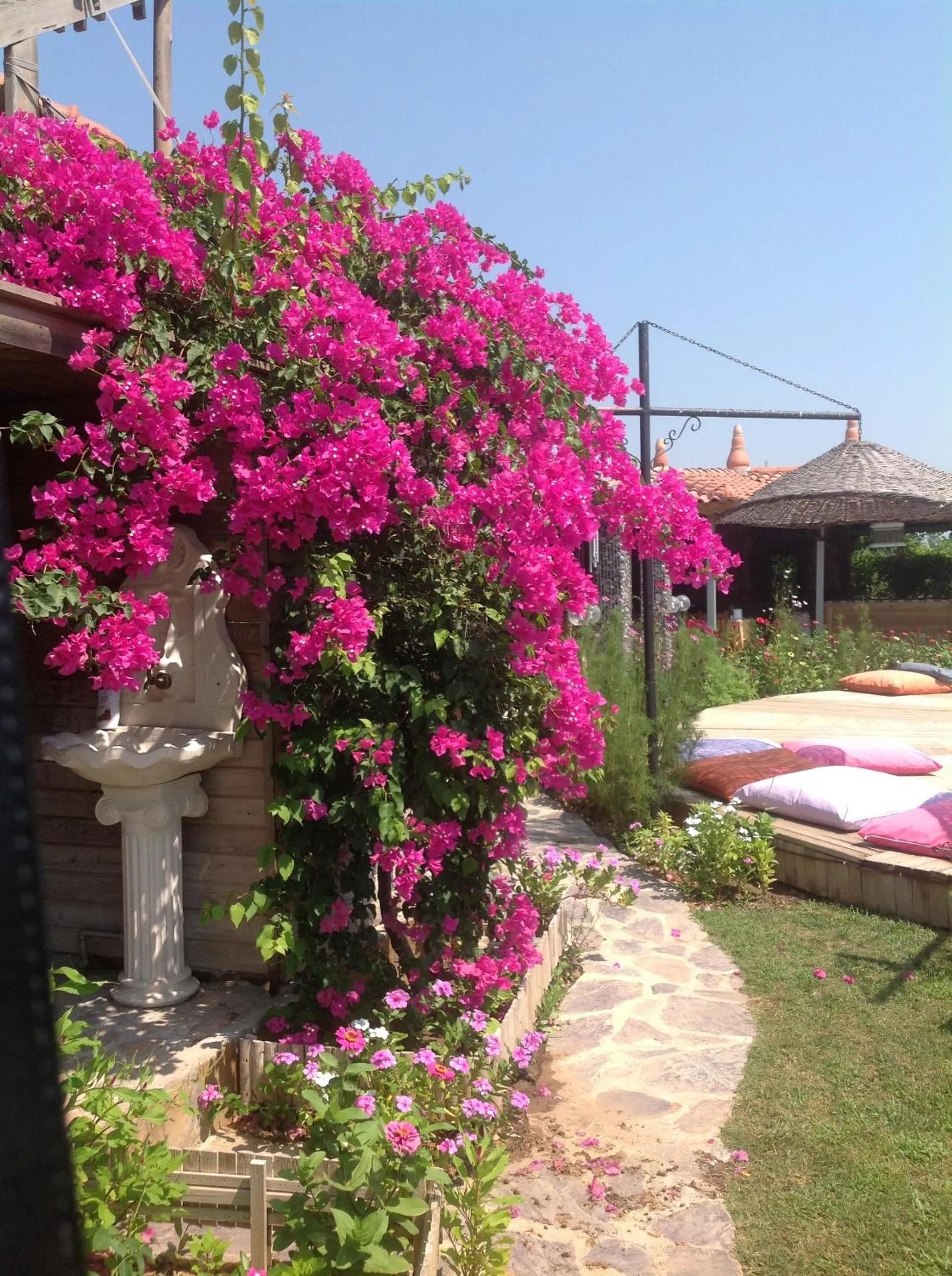 Garden in Bahaus Resort