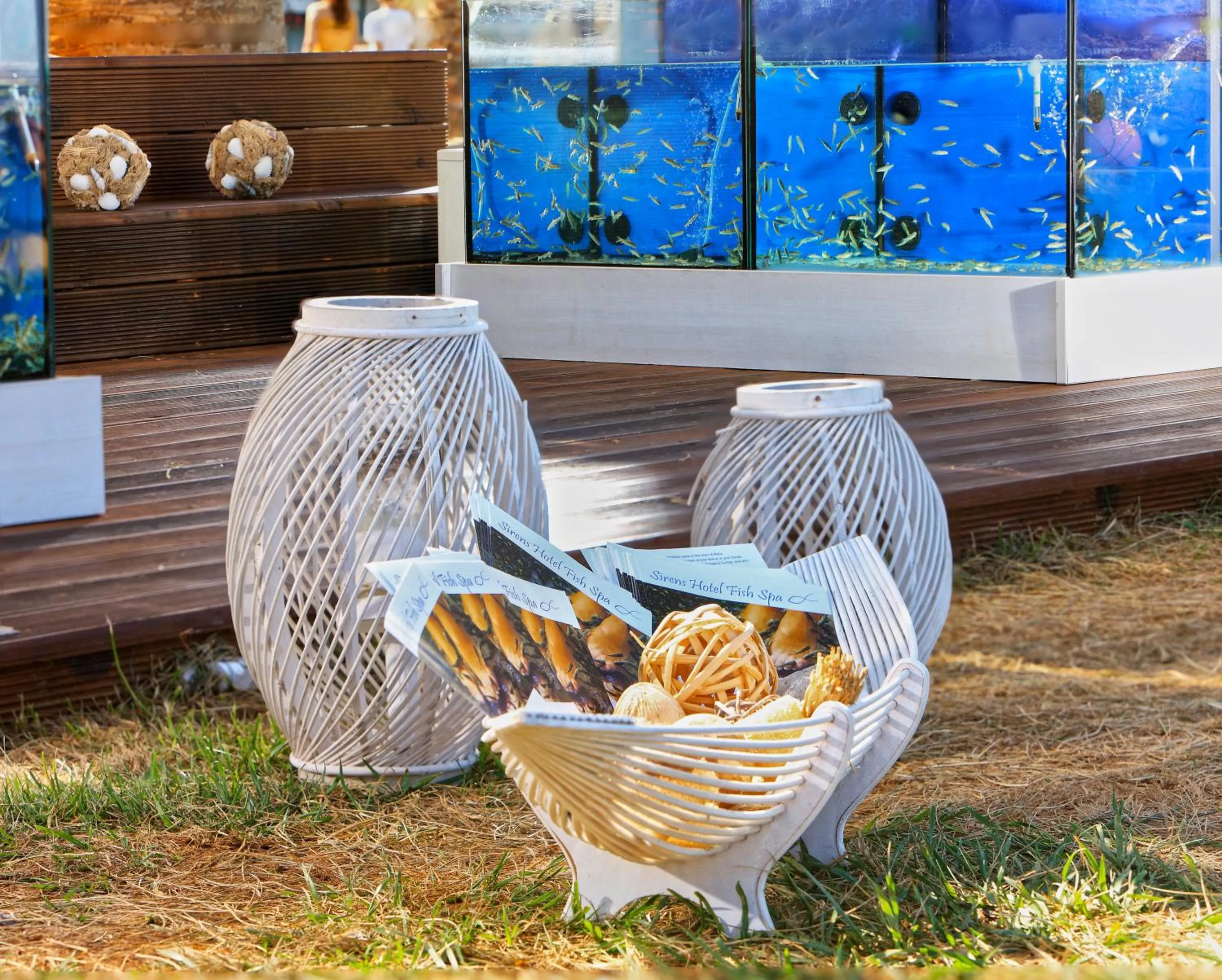 Spa and wellness centre/facilities in Sirens Beach & Village