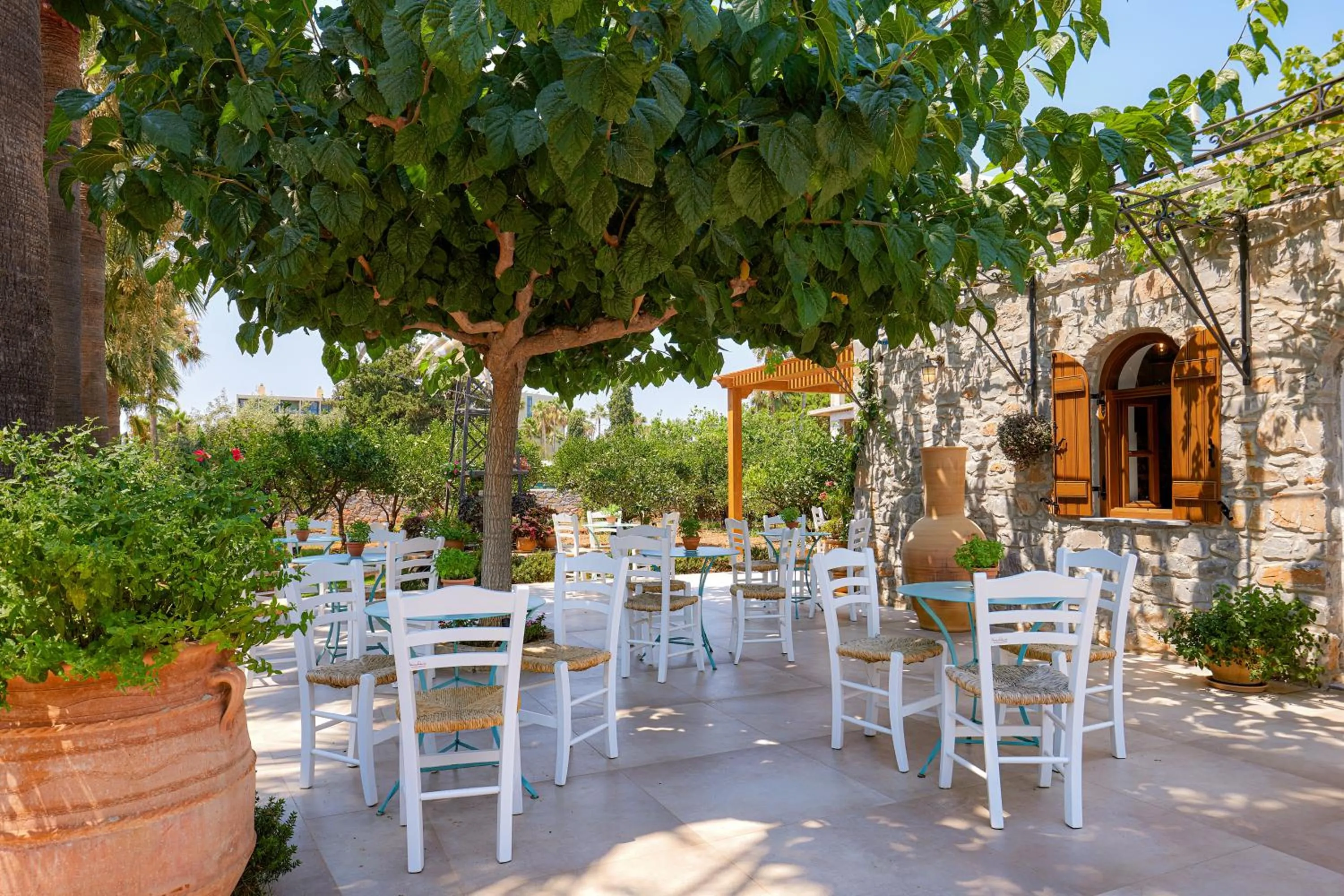 Restaurant/places to eat in Sirens Beach & Village