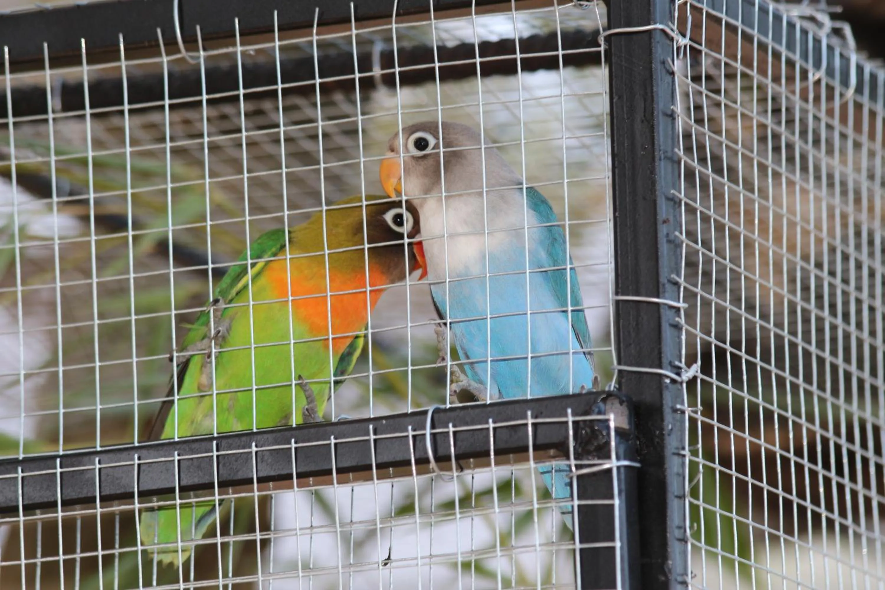 Chambre d'hôtes L'intemporelle