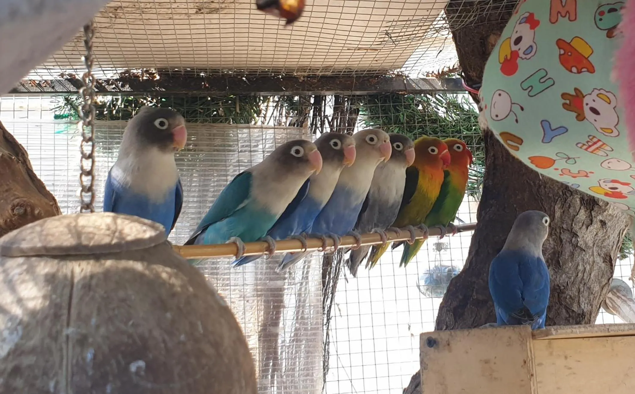 Chambre d'hôtes L'intemporelle