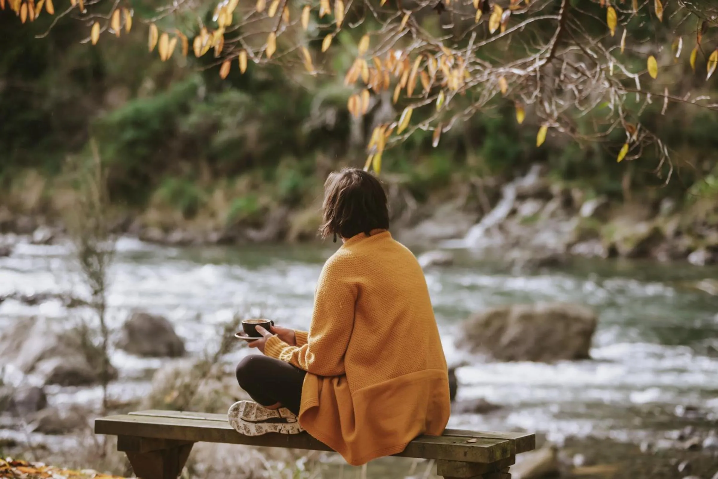 River view in River Valley Lodge