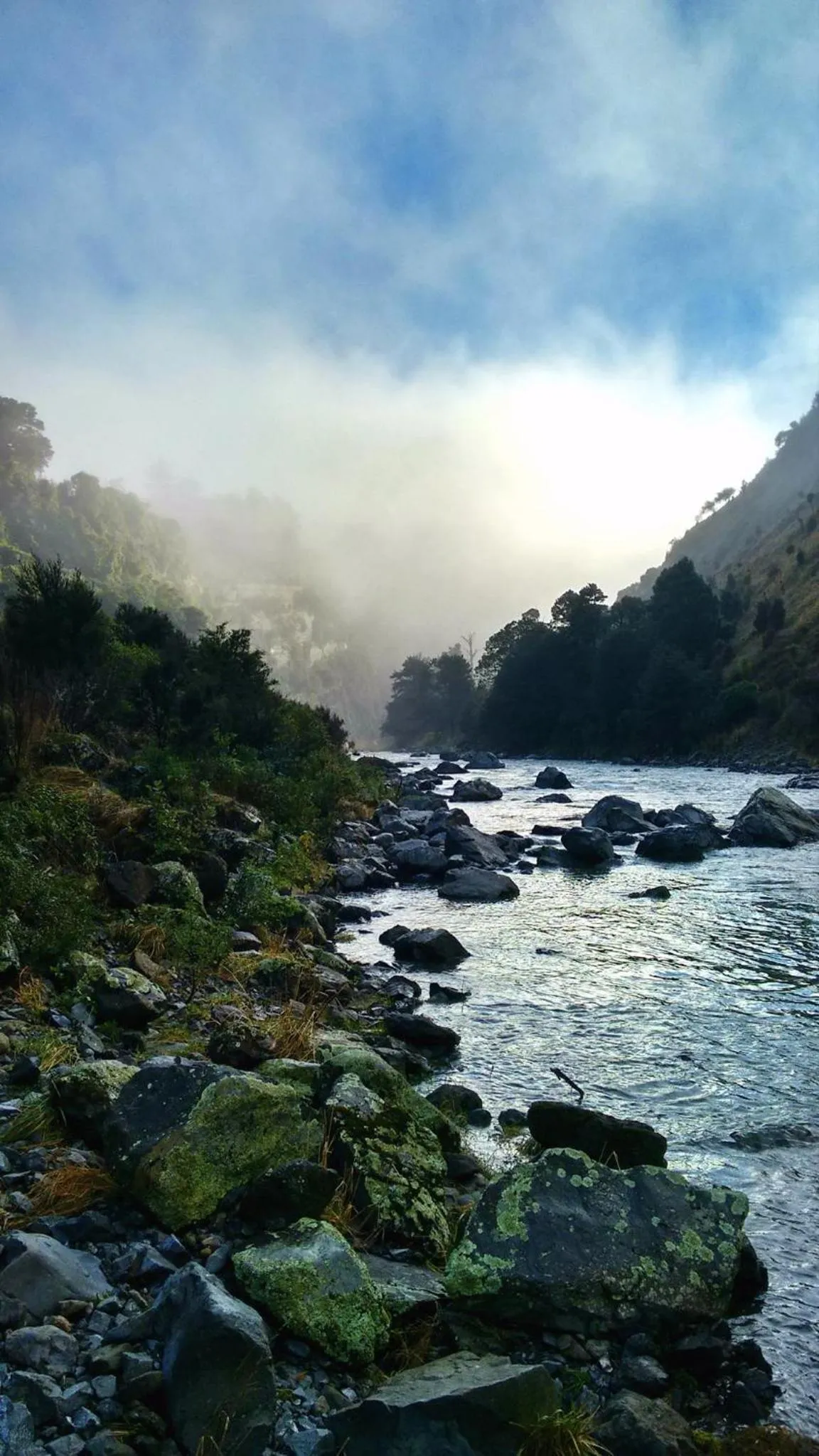 Natural landscape in River Valley Lodge