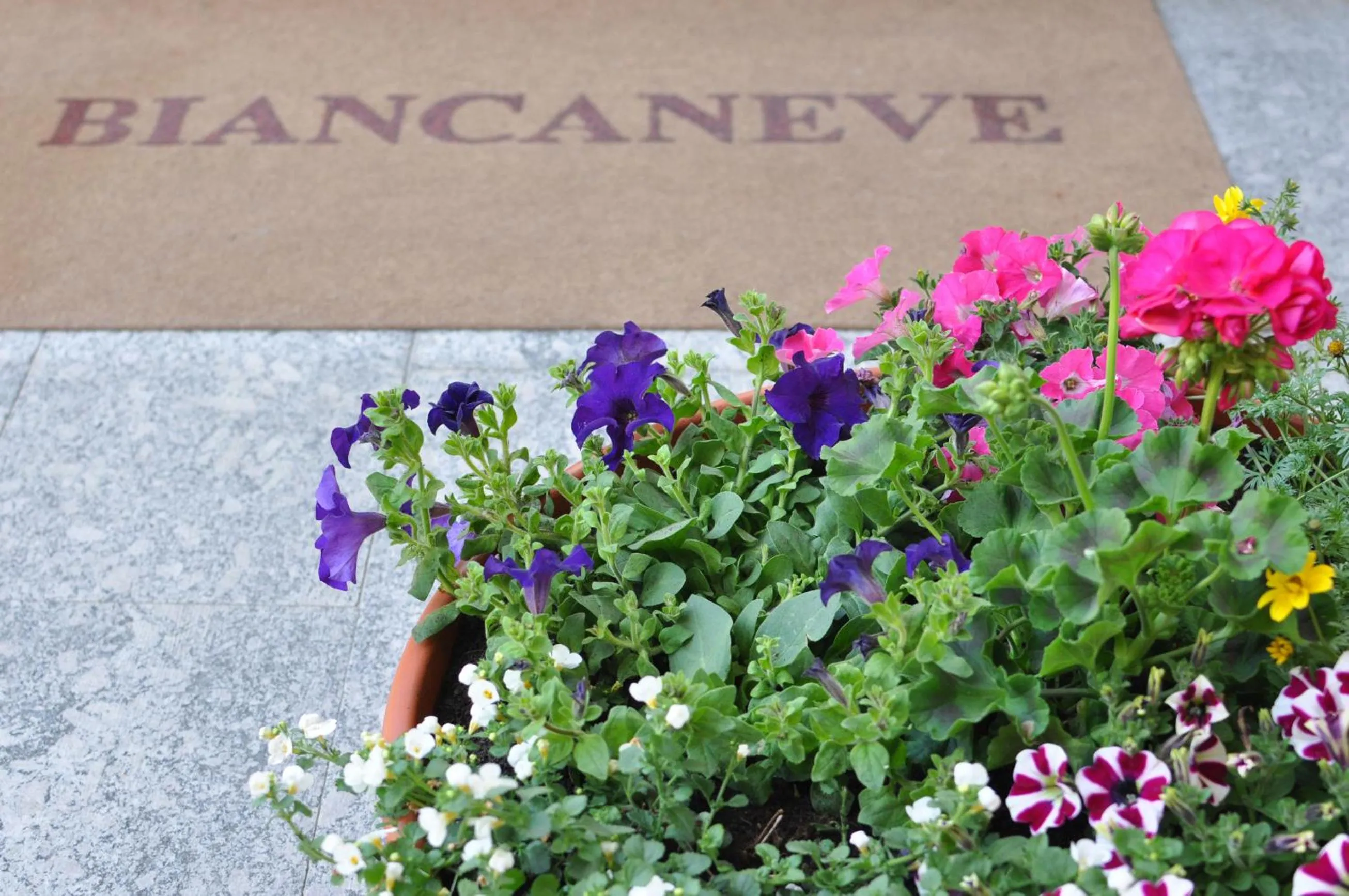 Decorative detail in Residence Biancaneve