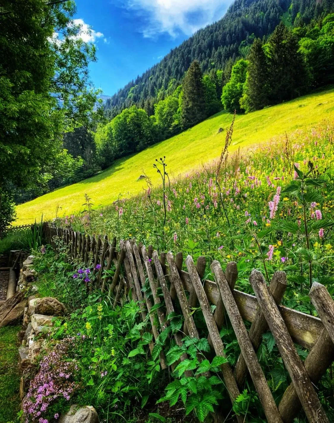 Guest House du Grand Paradis - On Piste