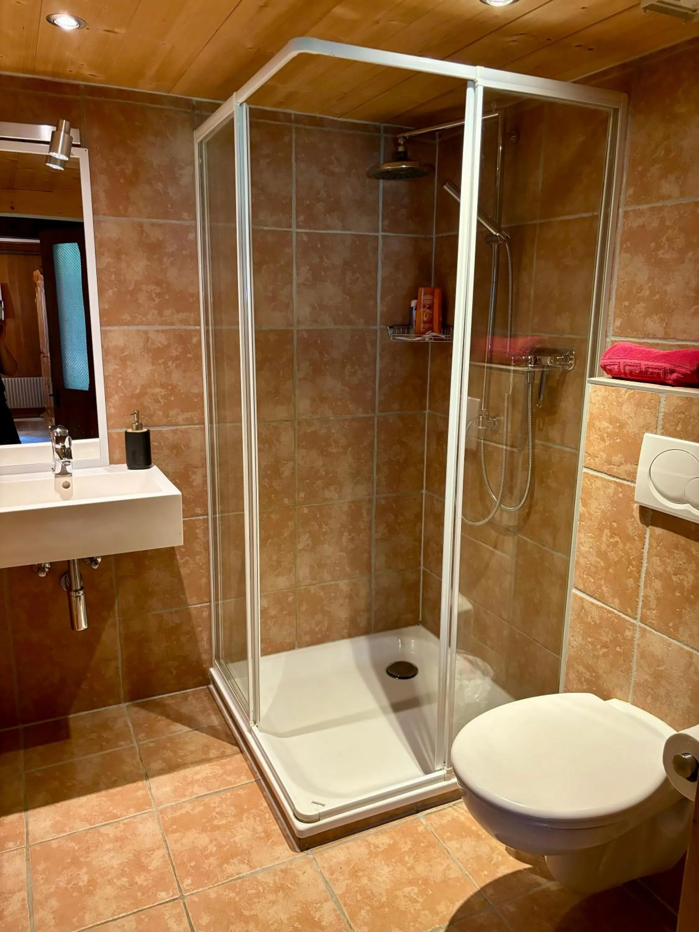 Shower in Guest House du Grand Paradis - On Piste